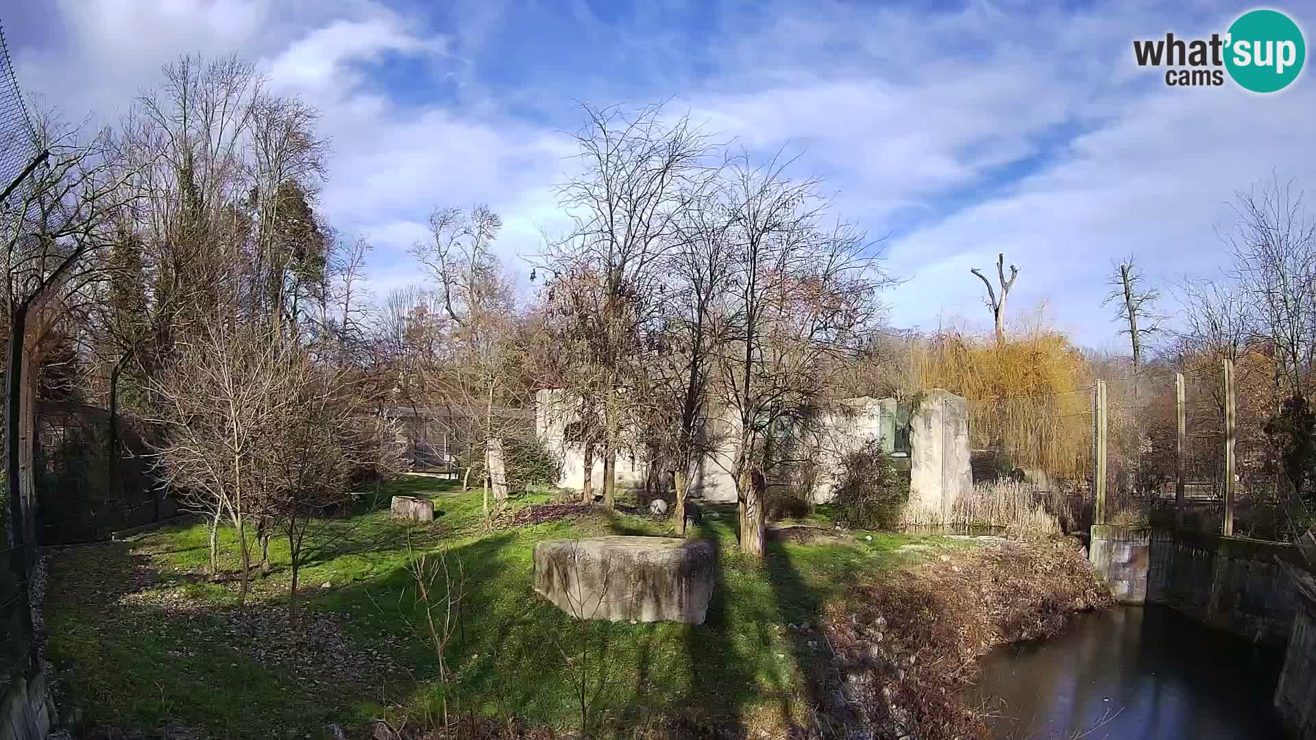 Zoo Zagreb – Leones