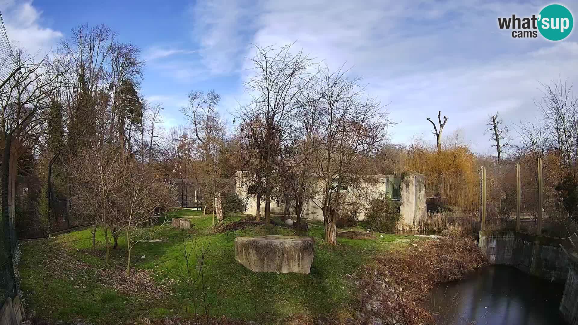 Zoo Zagreb – Leoni