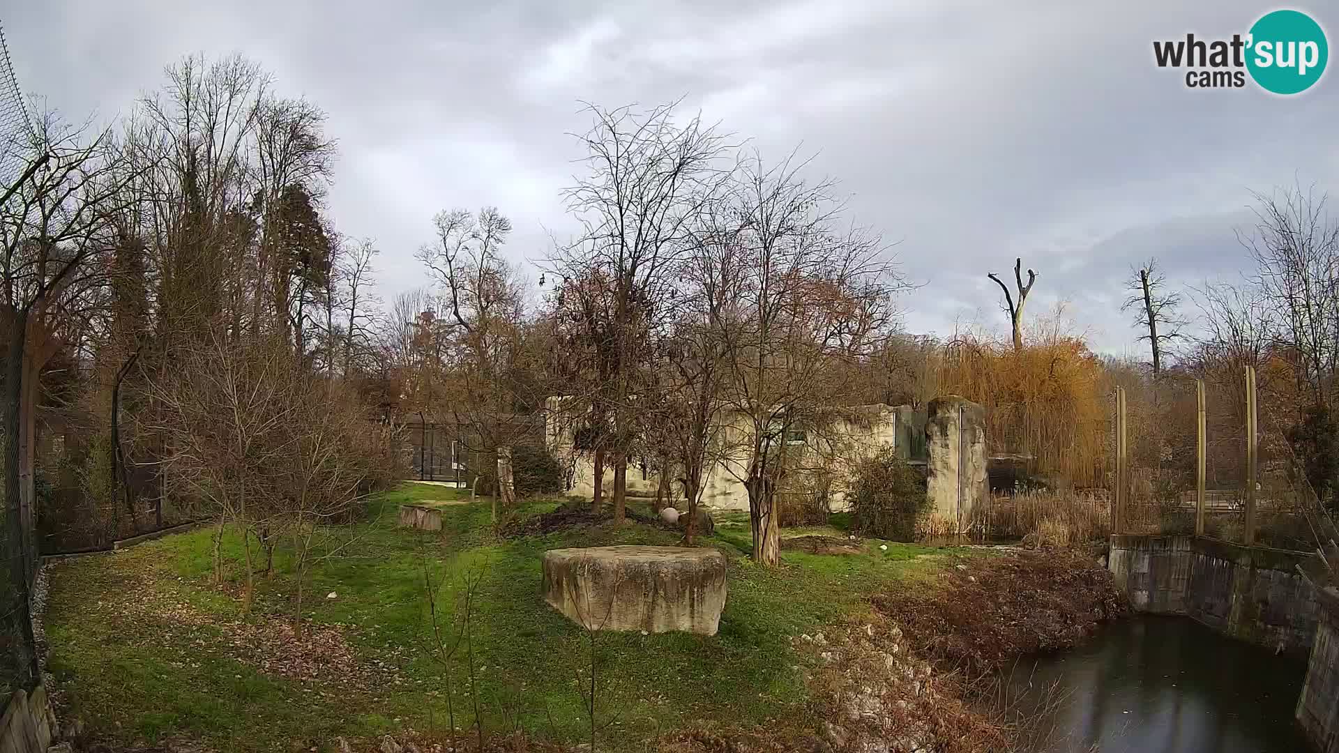 Zoo Zagreb – Löwen