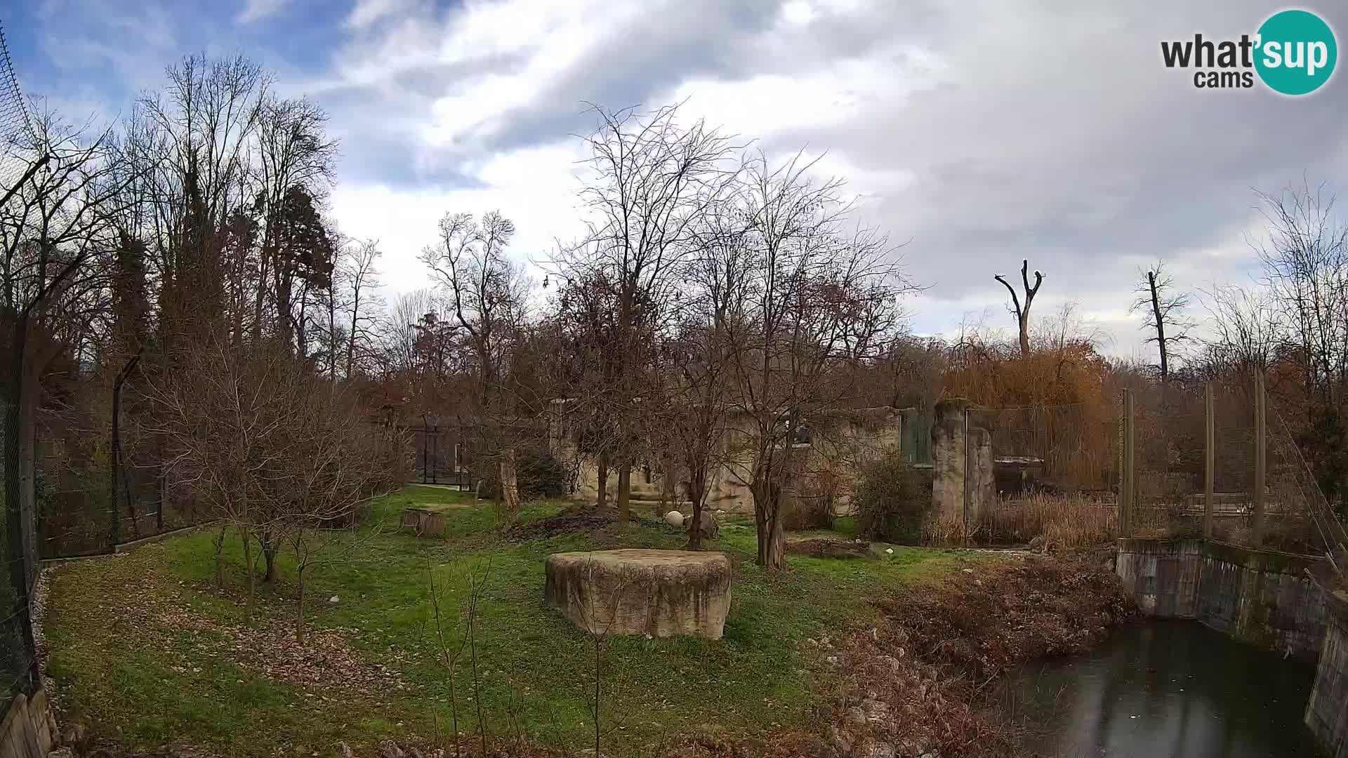 Zoo Zagreb – Löwen