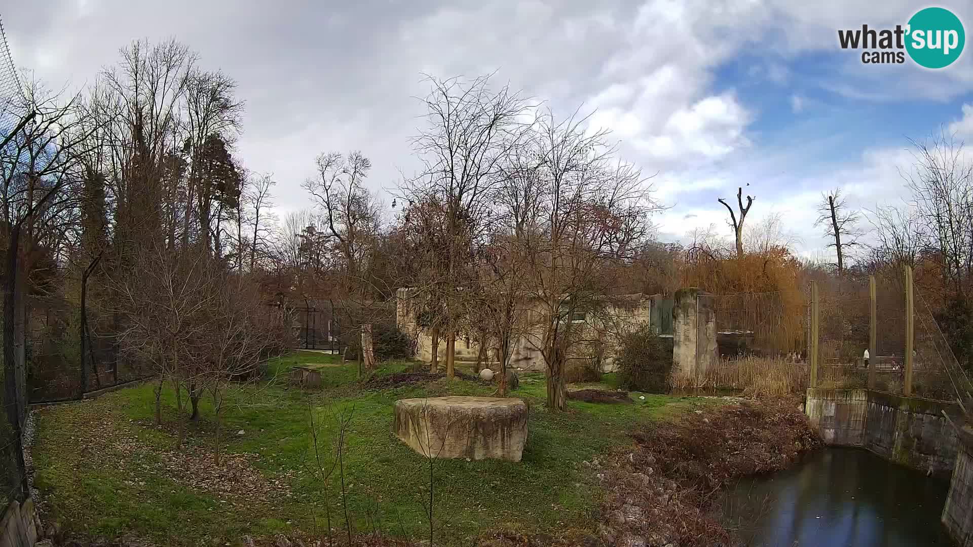 Zoo Zagreb – Lion