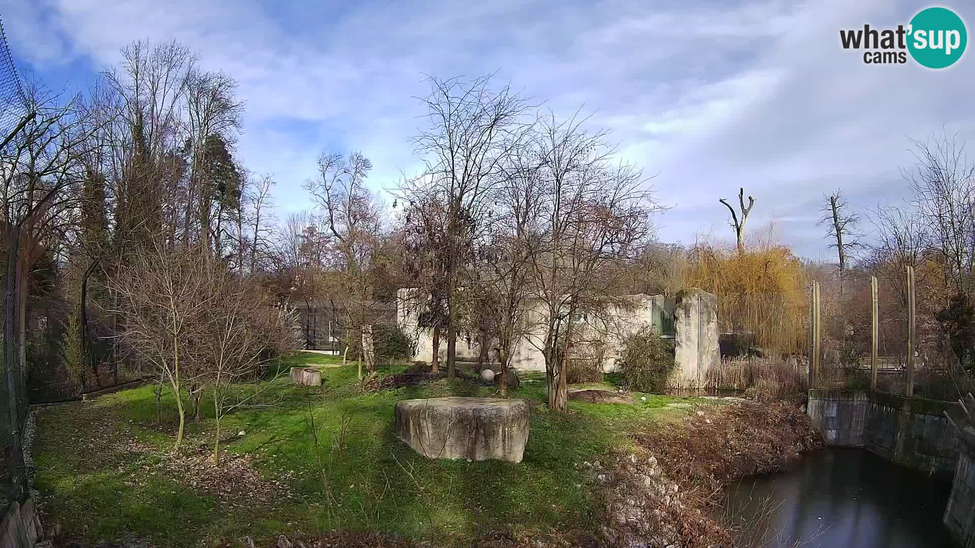 Zoo Zagreb – Löwen