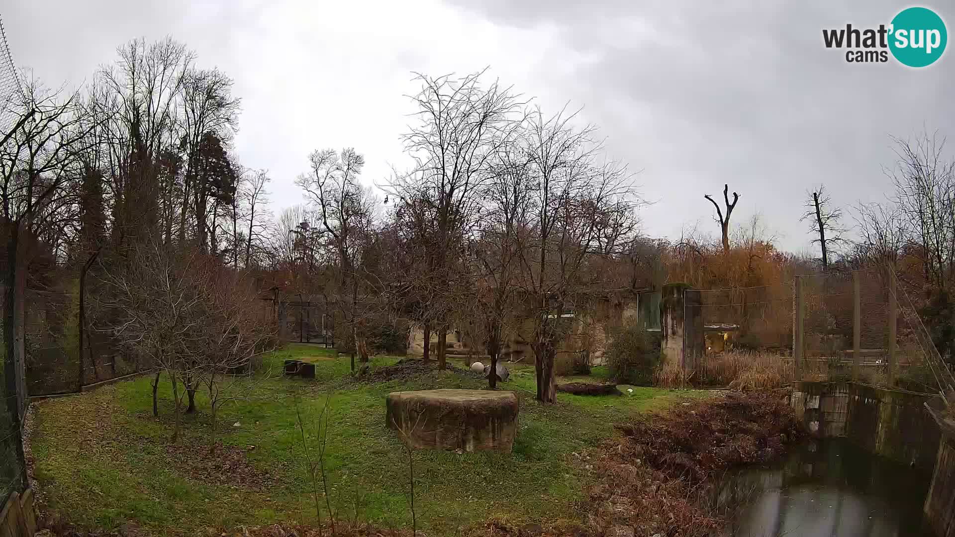 Zoo Zagreb – Löwen