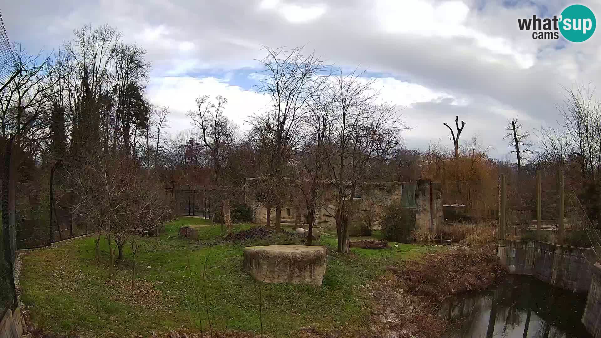 Zoo Zagreb – Lion