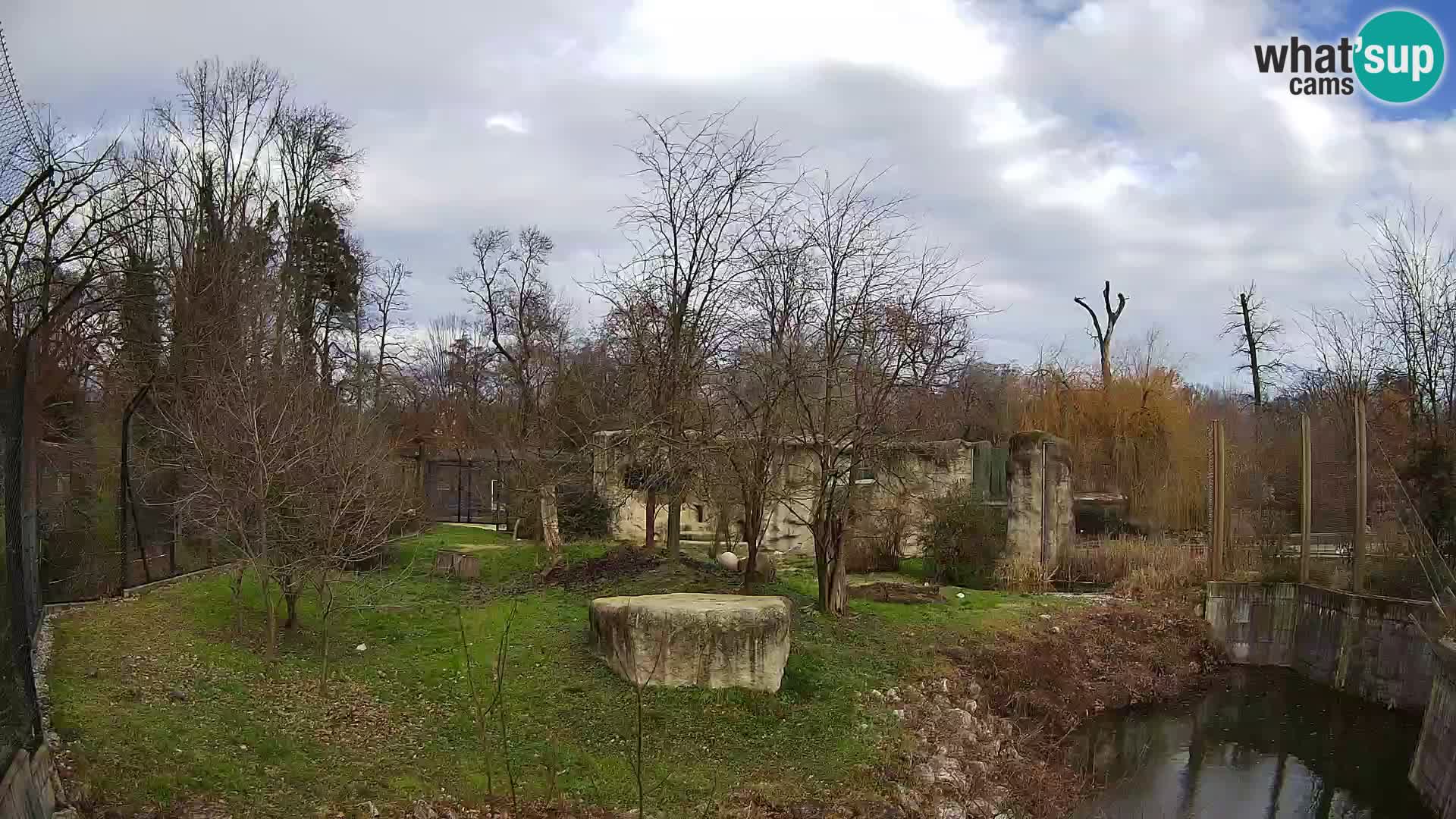 Zoo Zagreb – Löwen