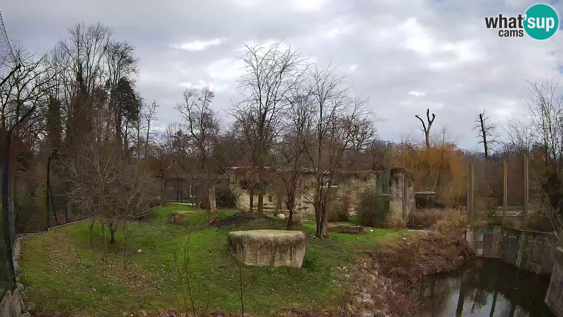 Zoo Zagreb – Löwen