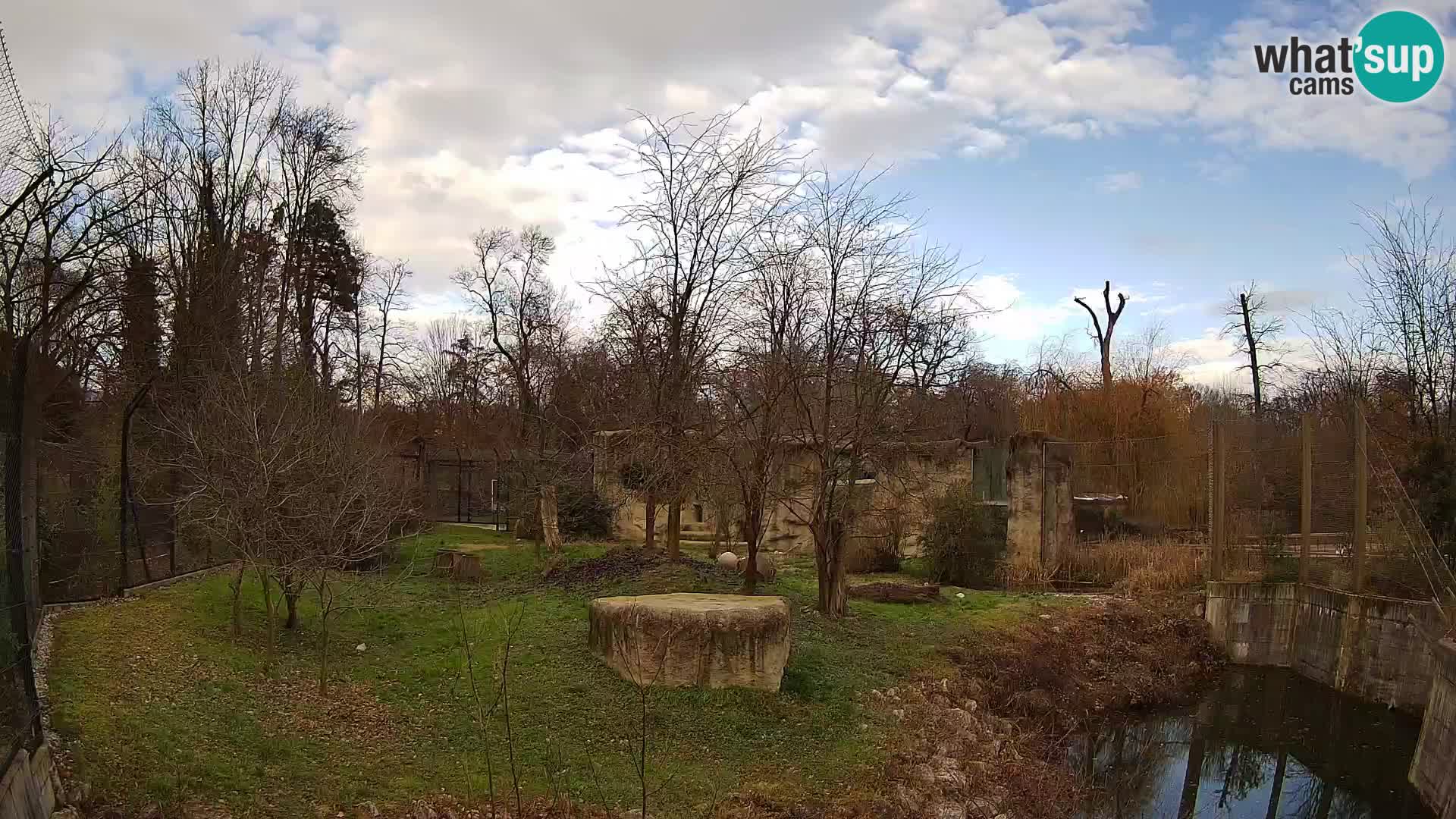 Zoo Zagreb – Löwen