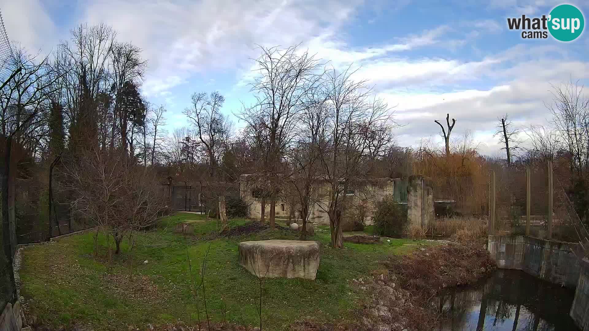 Zoo Zagreb – Löwen