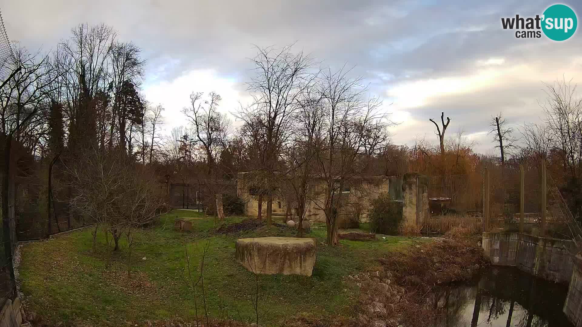 Zoo Zagreb – Lion