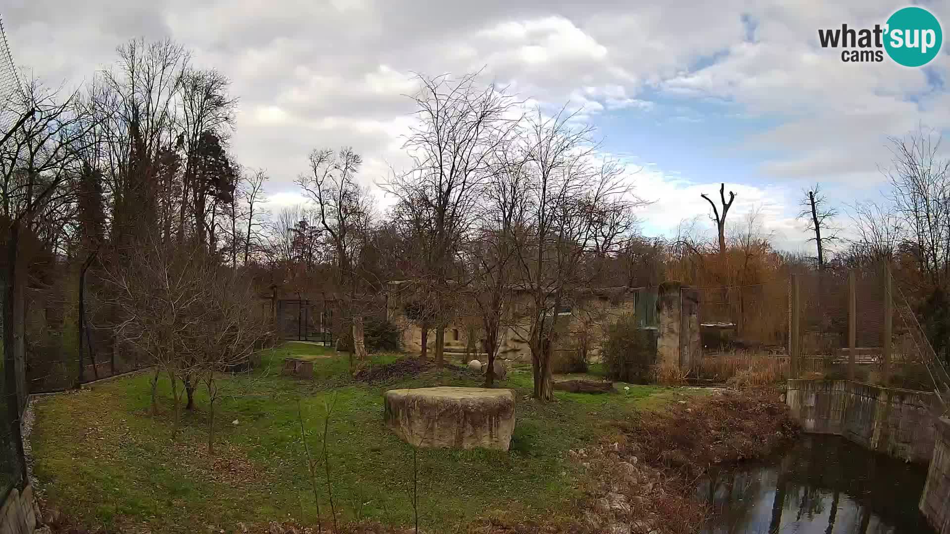 Zoo Zagreb – Lion