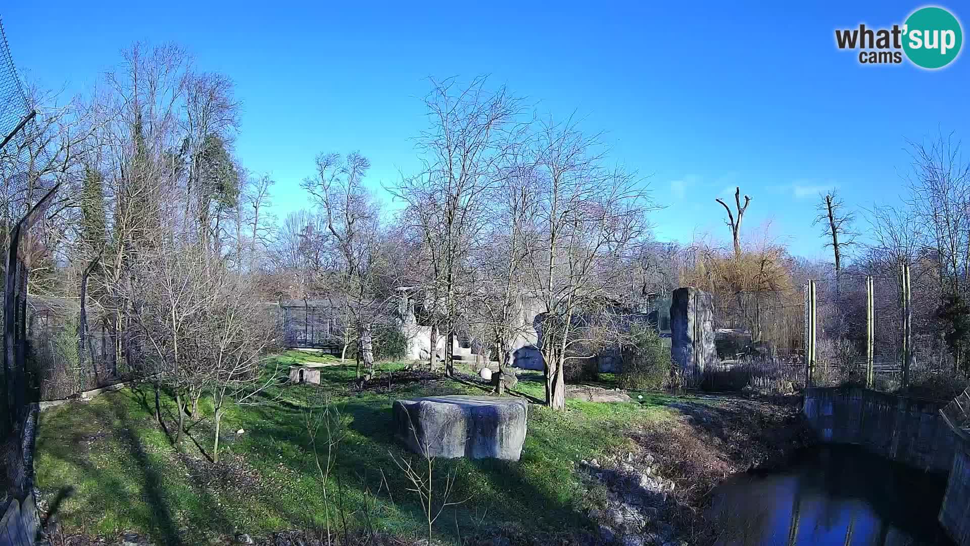 Zoo Zagreb – Löwen