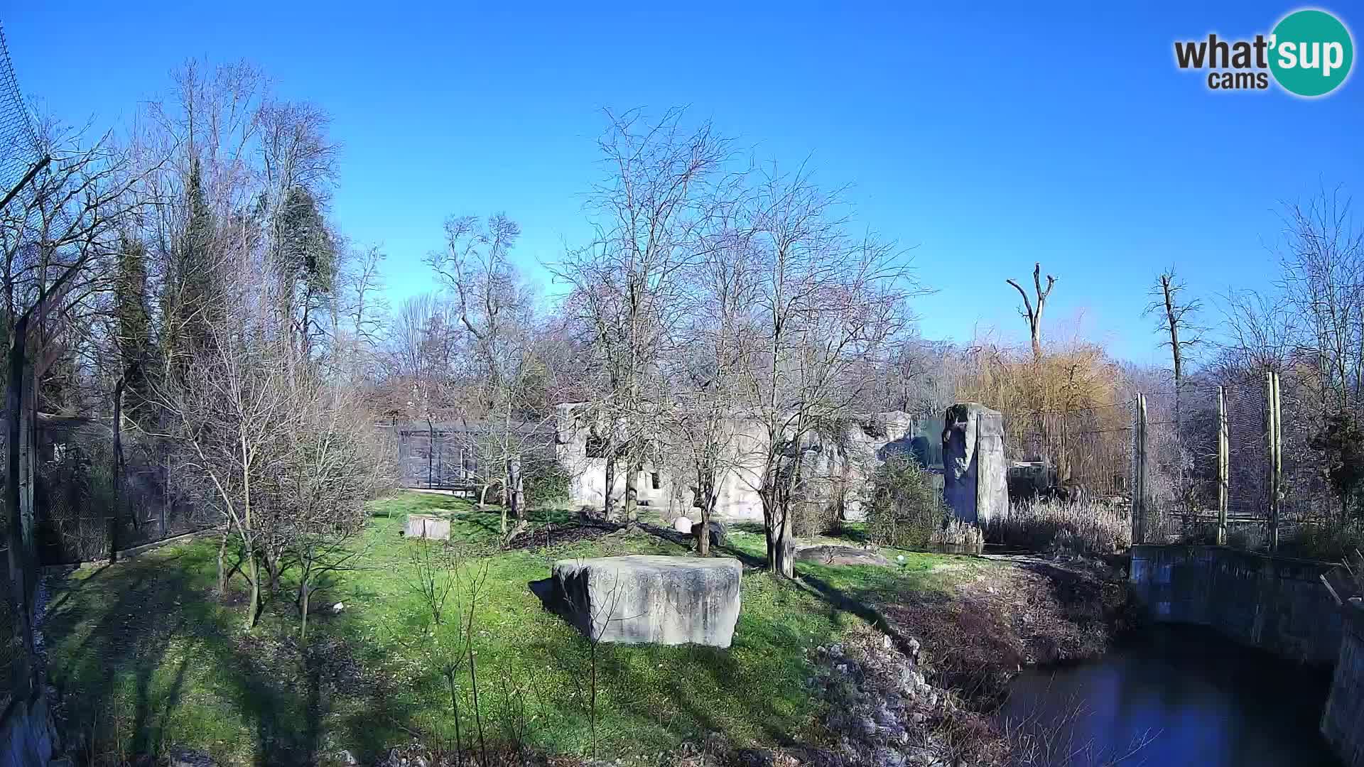 Zoo Zagreb – Löwen