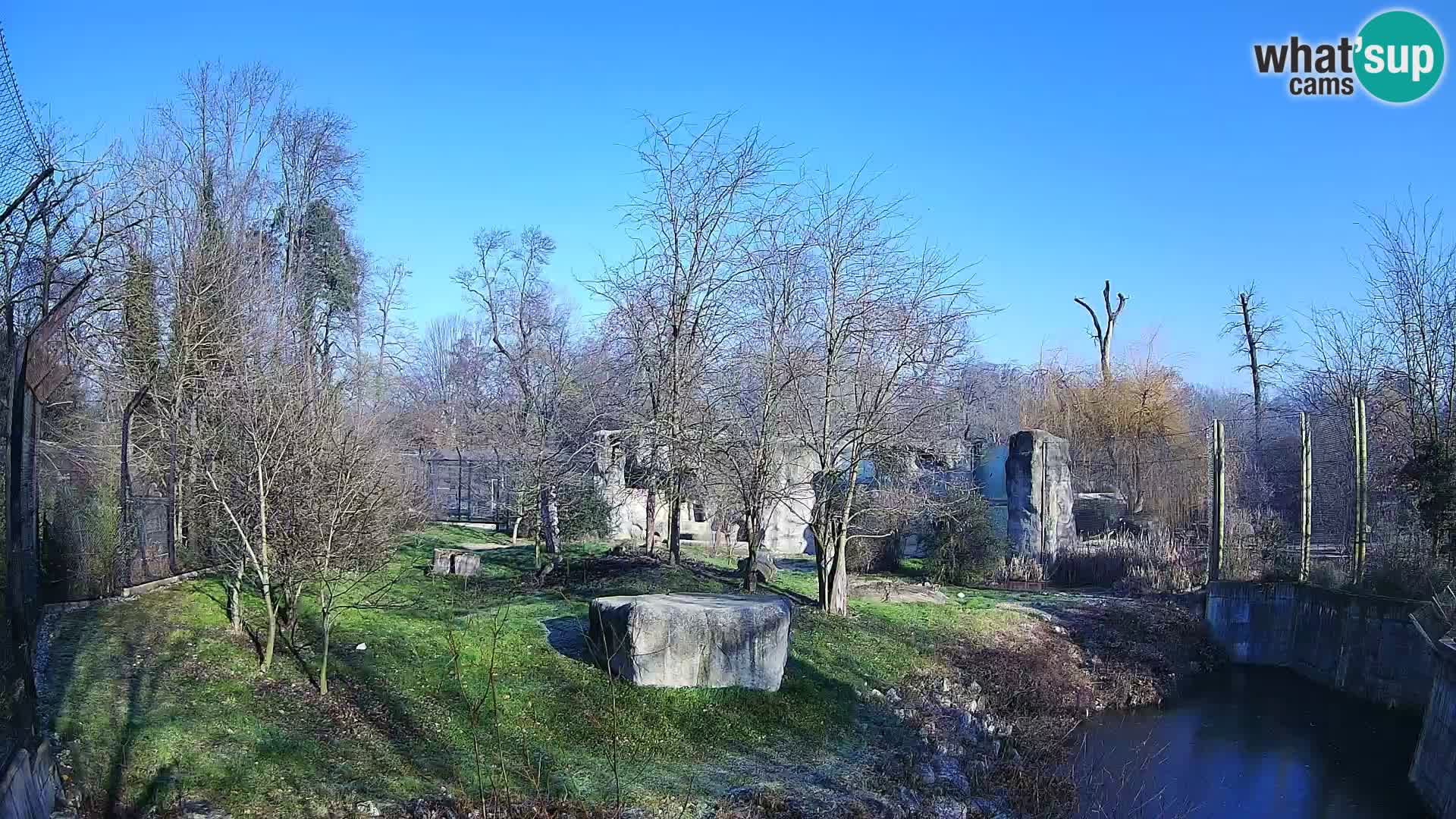 Zoo Zagreb – Löwen