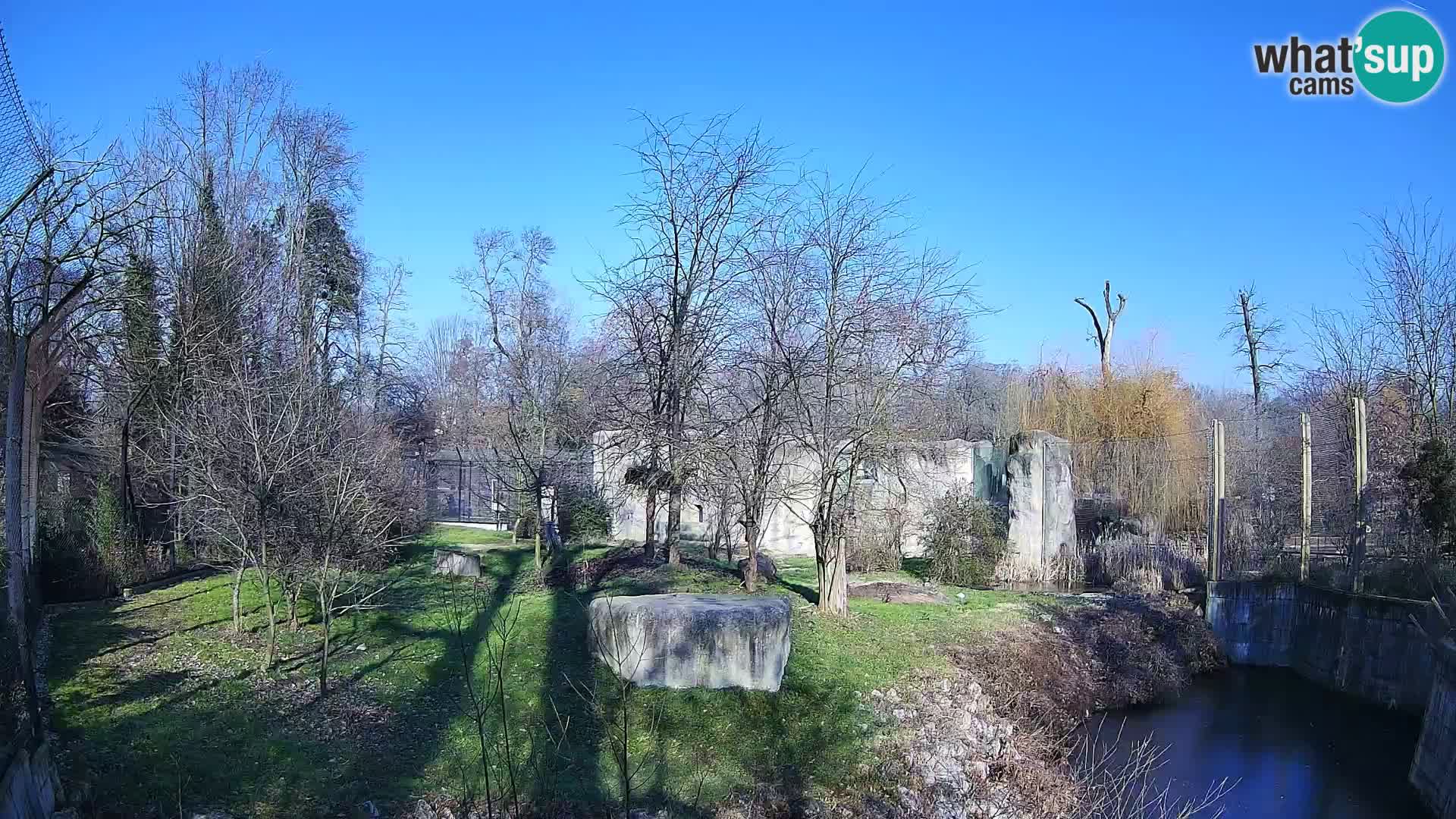 Zoo Zagreb – Löwen