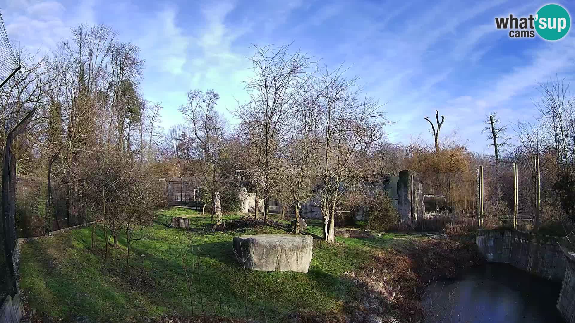 Zoo Zagreb – Löwen