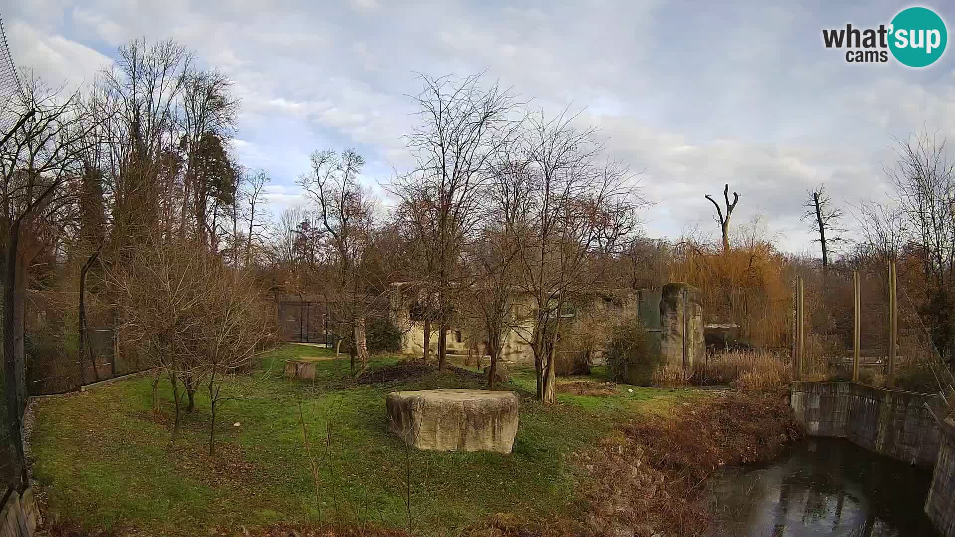 Zoo Zagreb – Lion