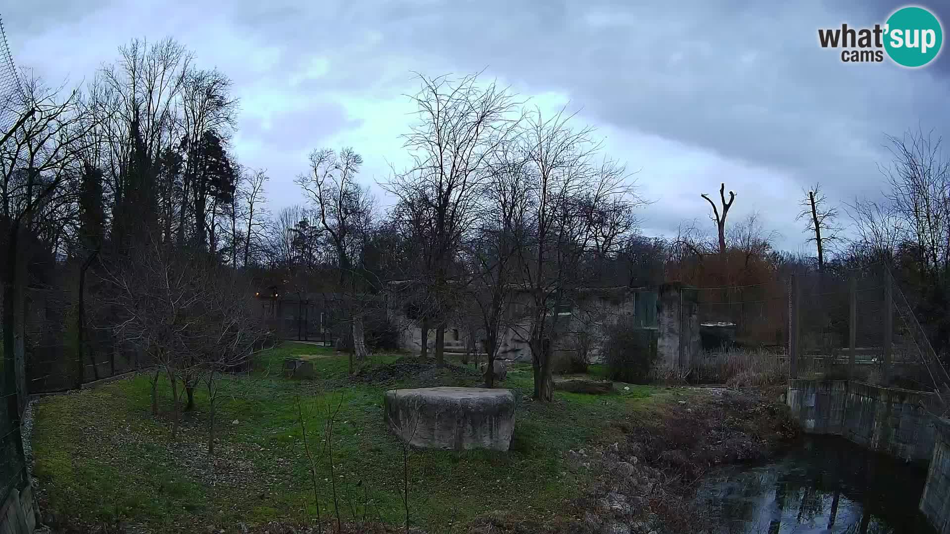 Zoo Zagreb – Lion