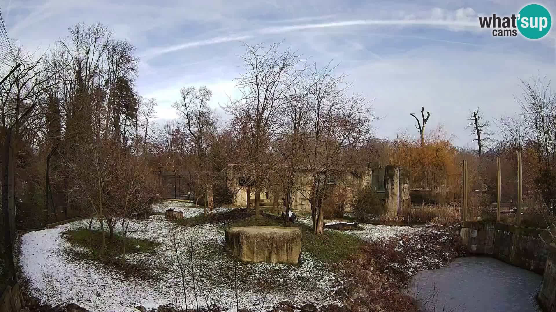 Zoo Zagreb – Lion