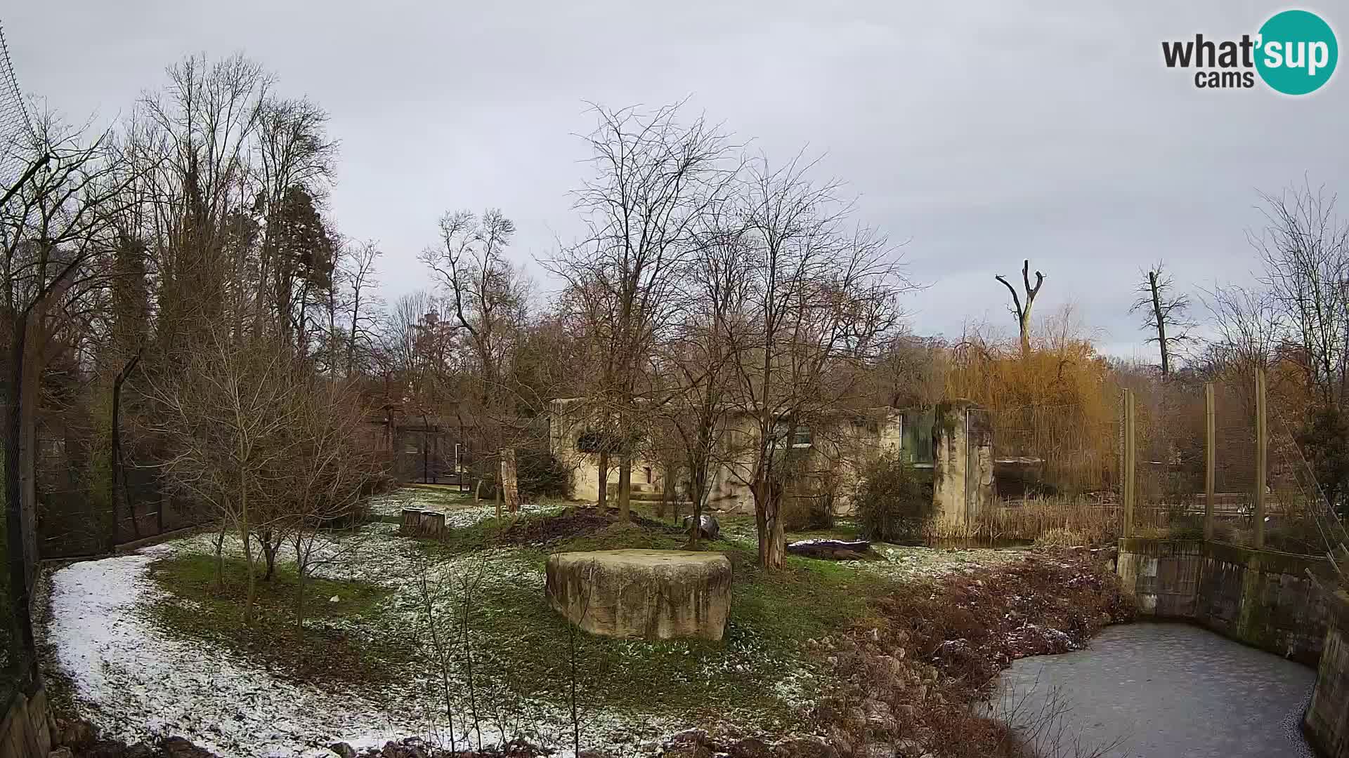 Zoo Zagreb – Löwen