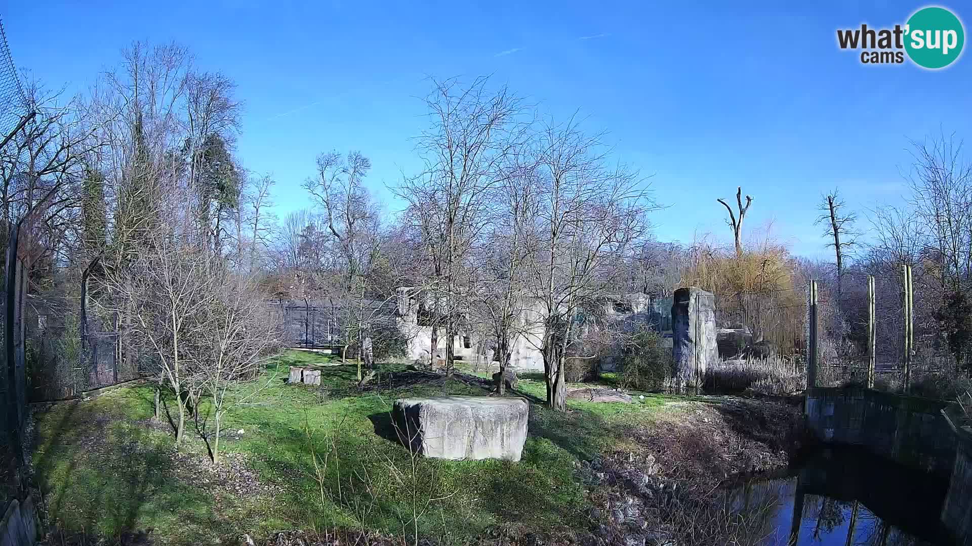 Zoo Zagreb – Löwen