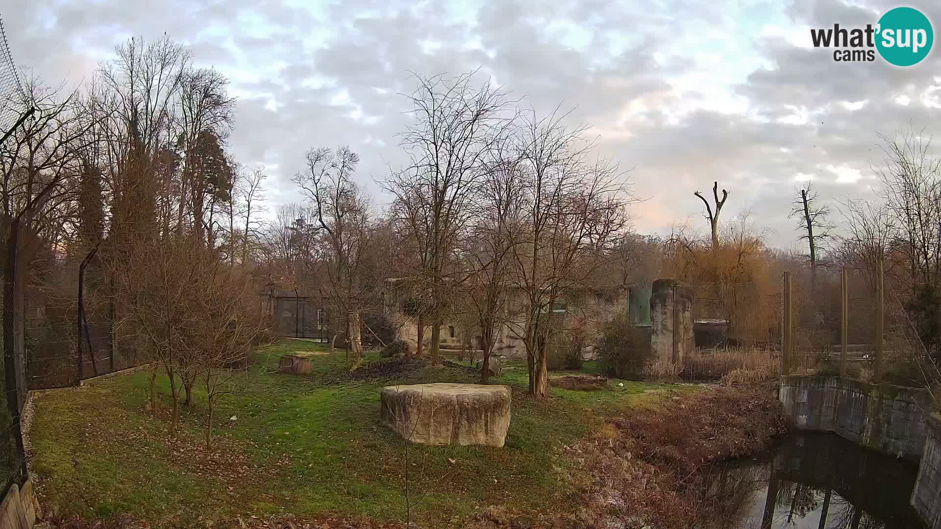 Spletna kamera Zoo Zagreb – Levi