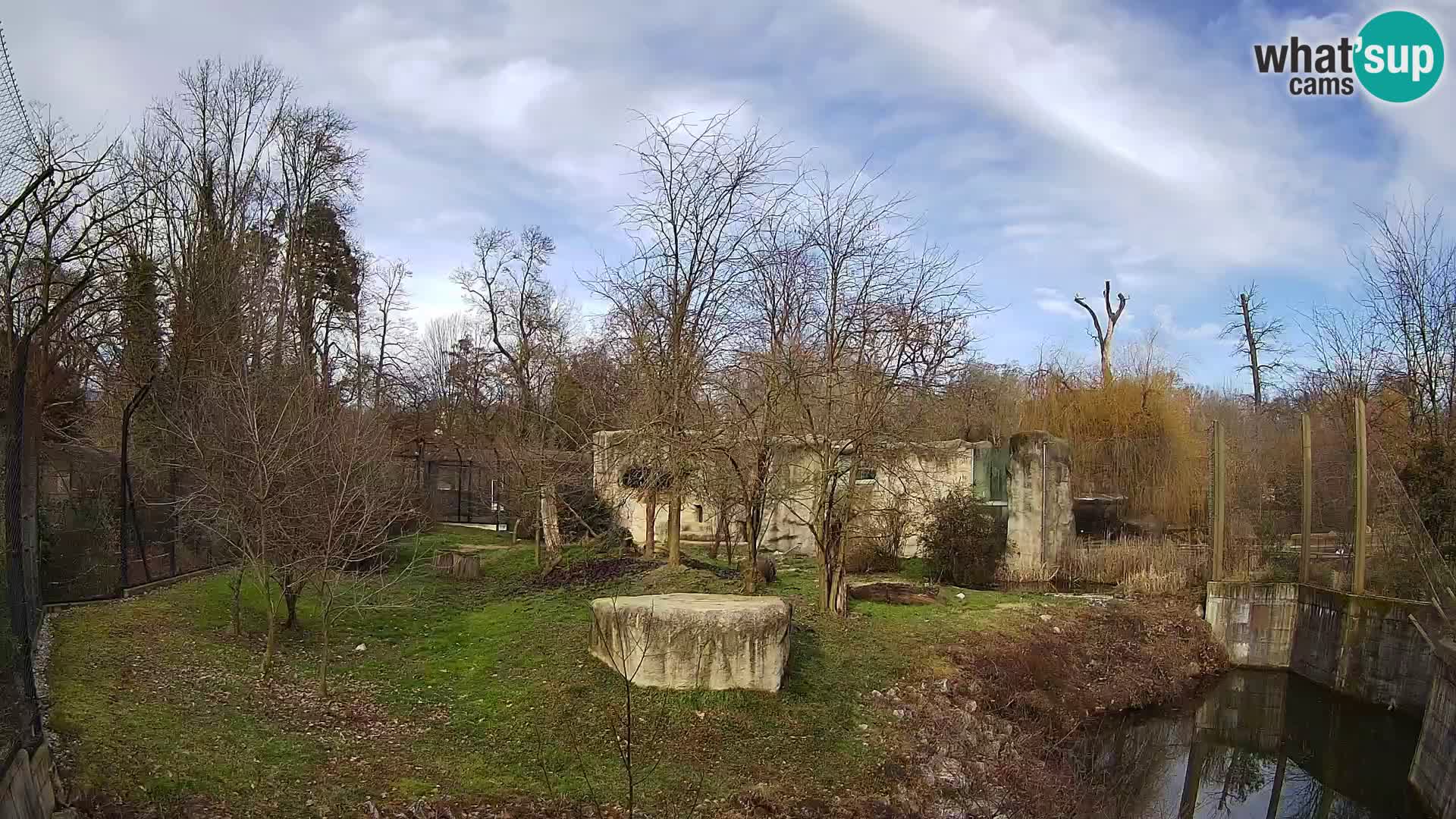 Zoo Zagreb – Lion