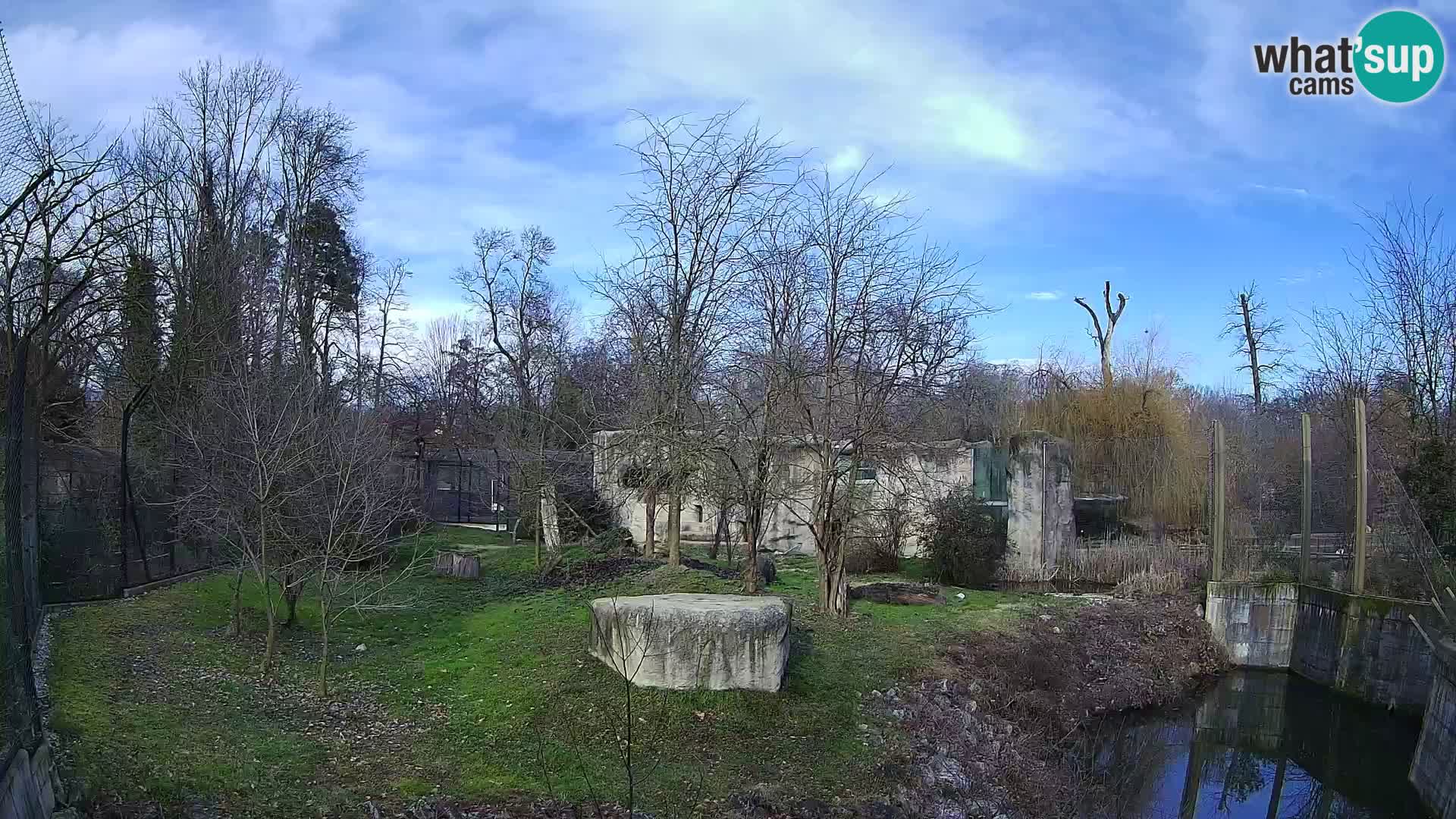 Zoo Zagreb – Löwen