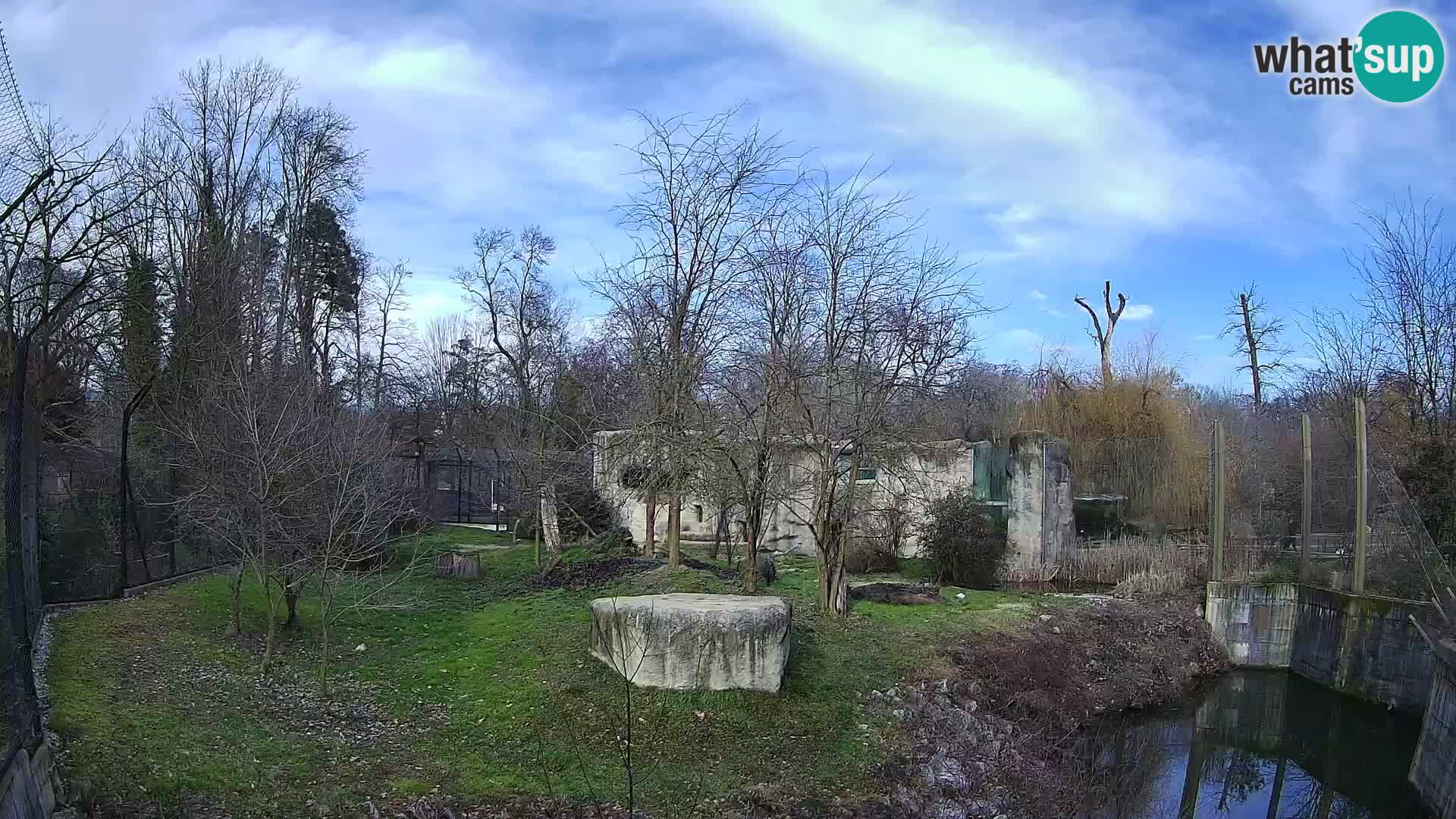 Zoo Zagreb – Lion