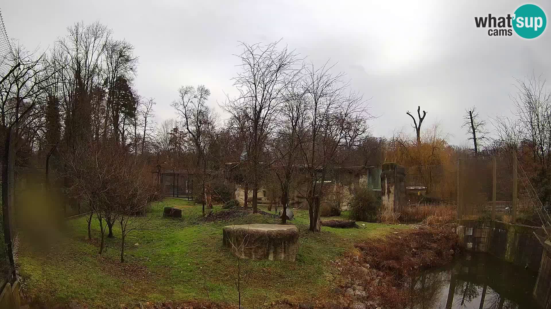 Zoo Zagreb – Löwen