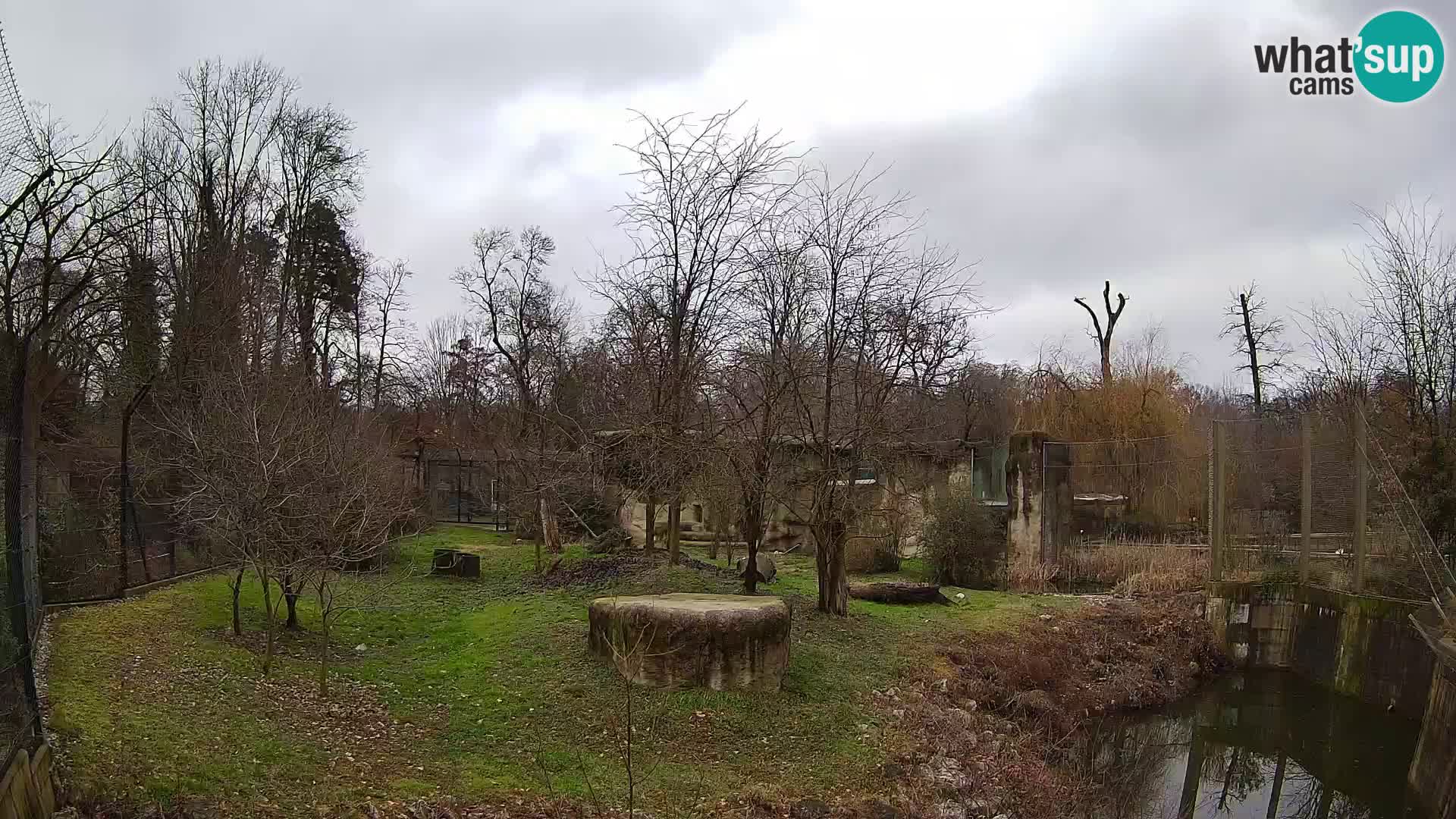 Zoo Zagreb – Leones