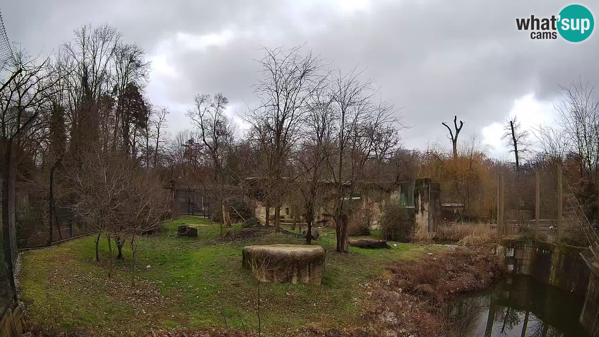 Spletna kamera Zoo Zagreb – Levi