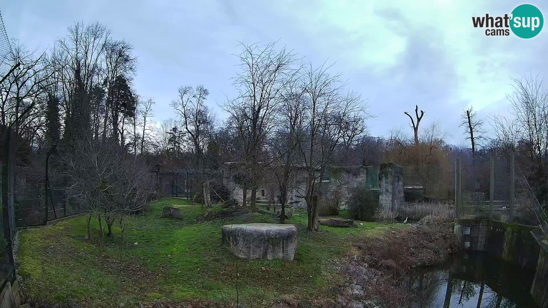 Zoo Zagreb – Löwen