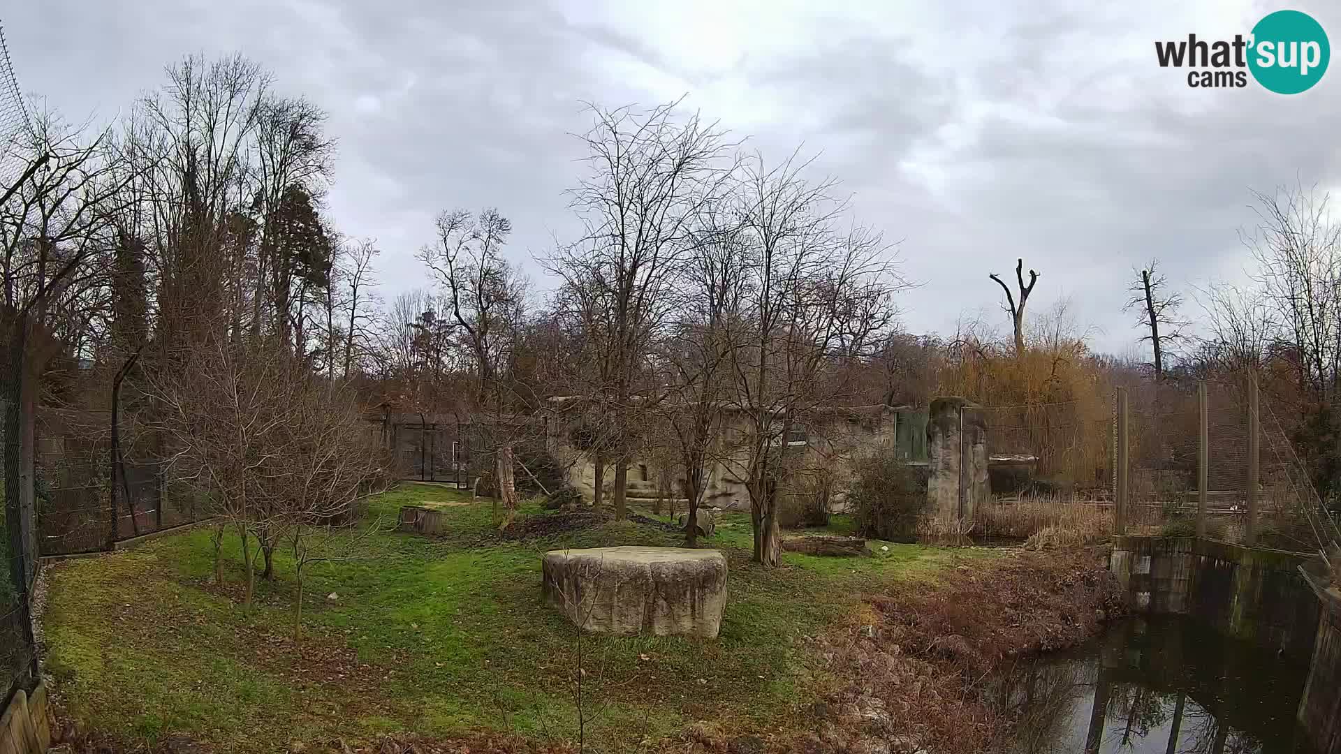 Zoo Zagreb – Löwen