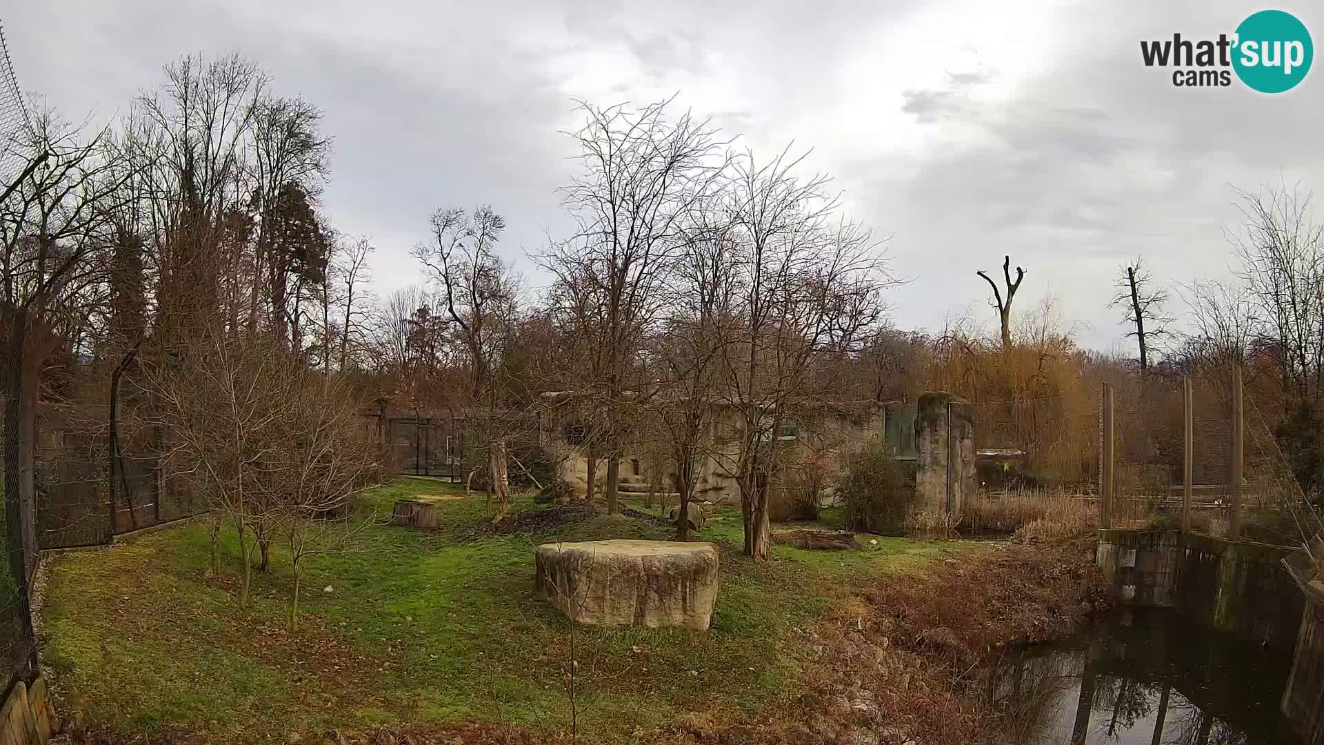 Zoo Zagreb – Löwen