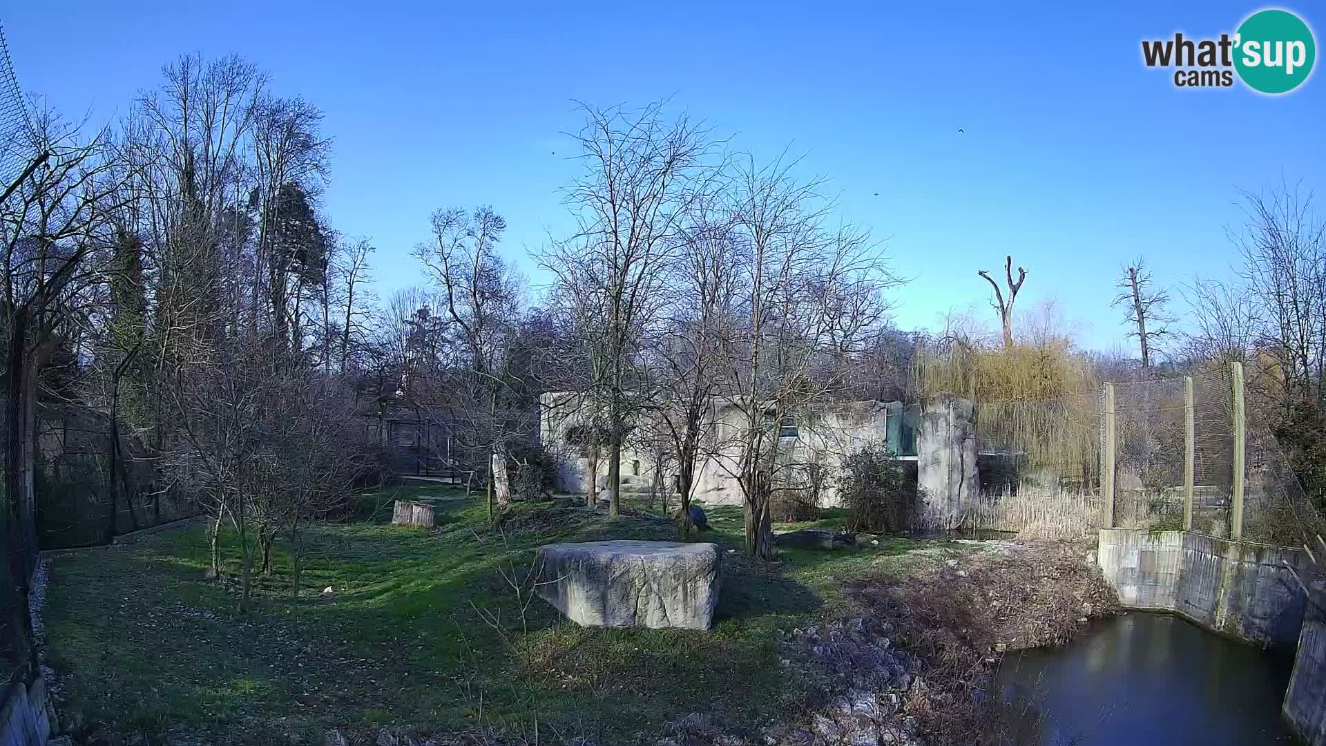 Spletna kamera Zoo Zagreb – Levi