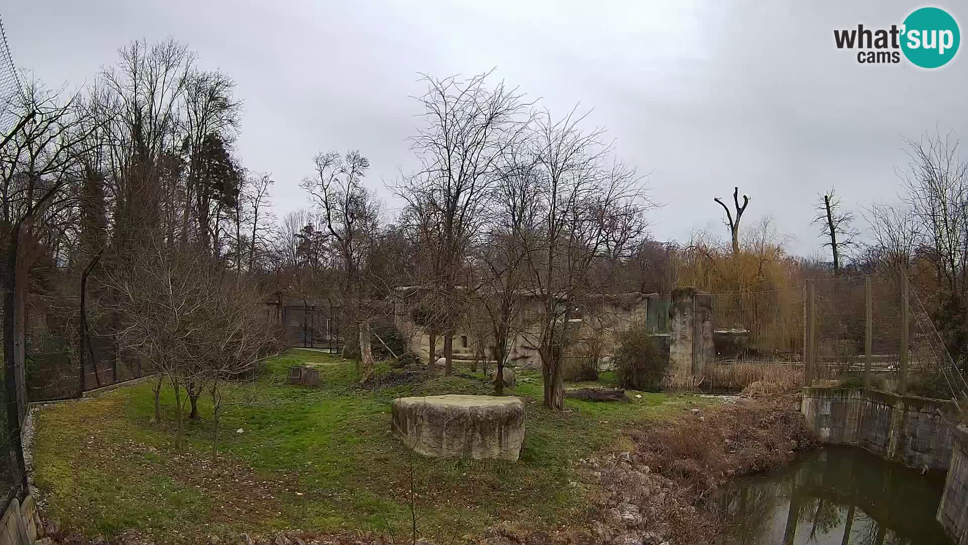 Zoo Zagreb – Löwen