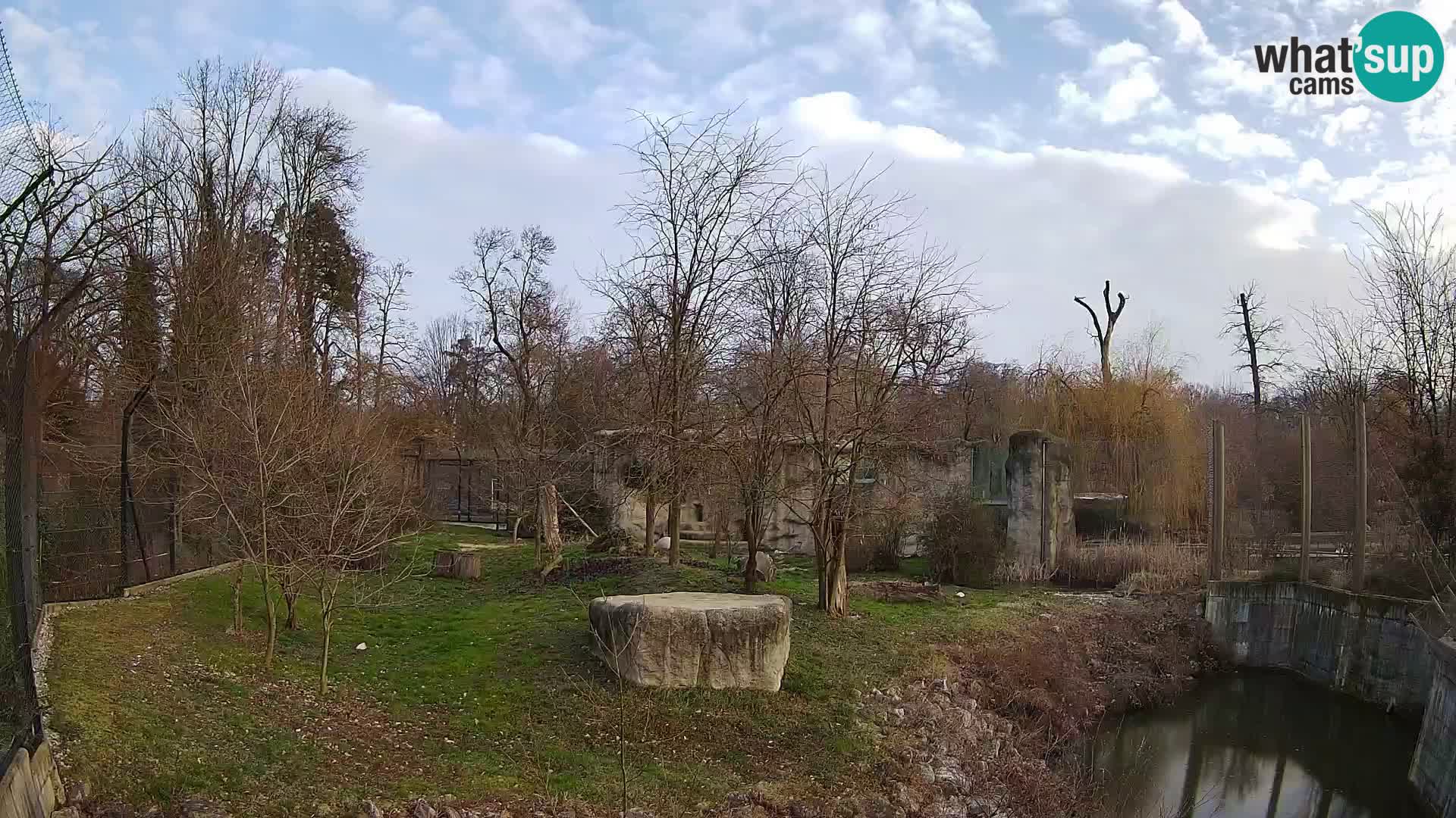 Zoo Zagreb – Lion