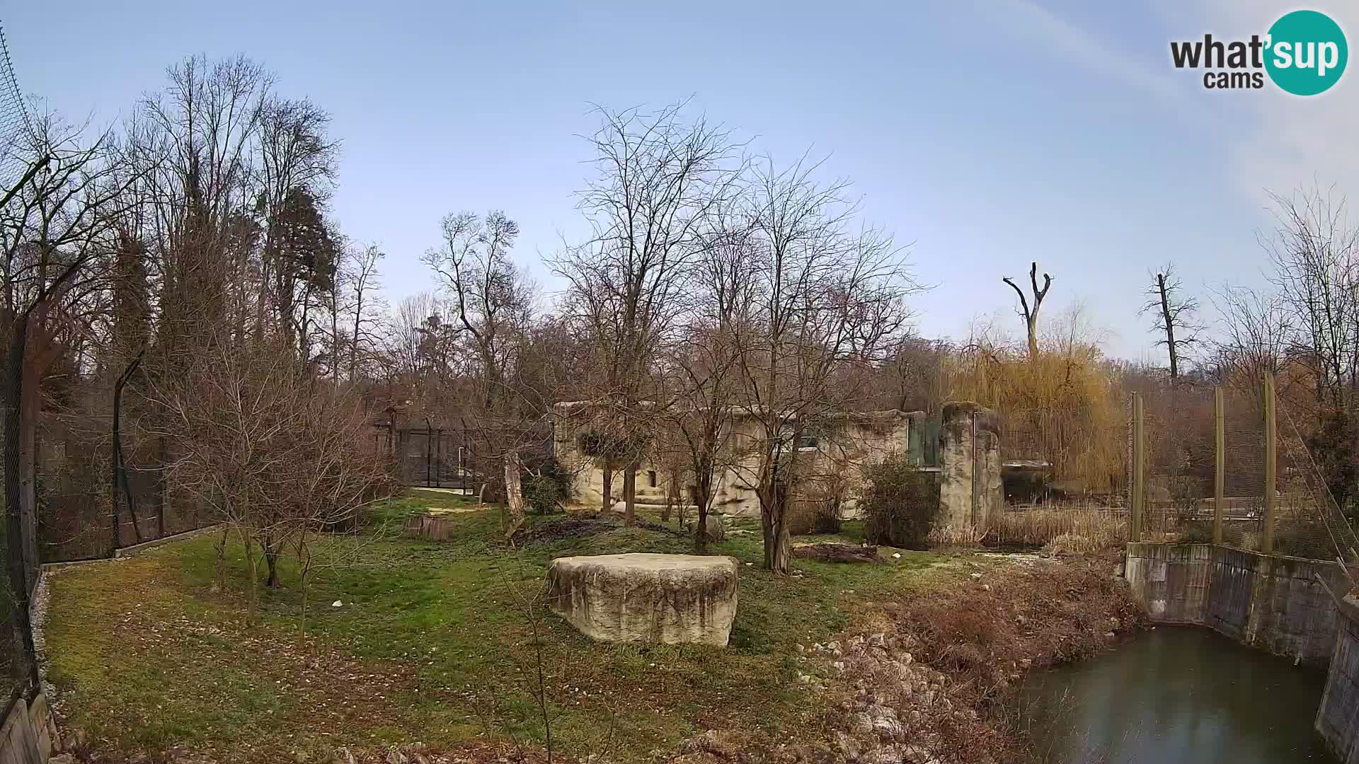 Zoo Zagreb – Lion