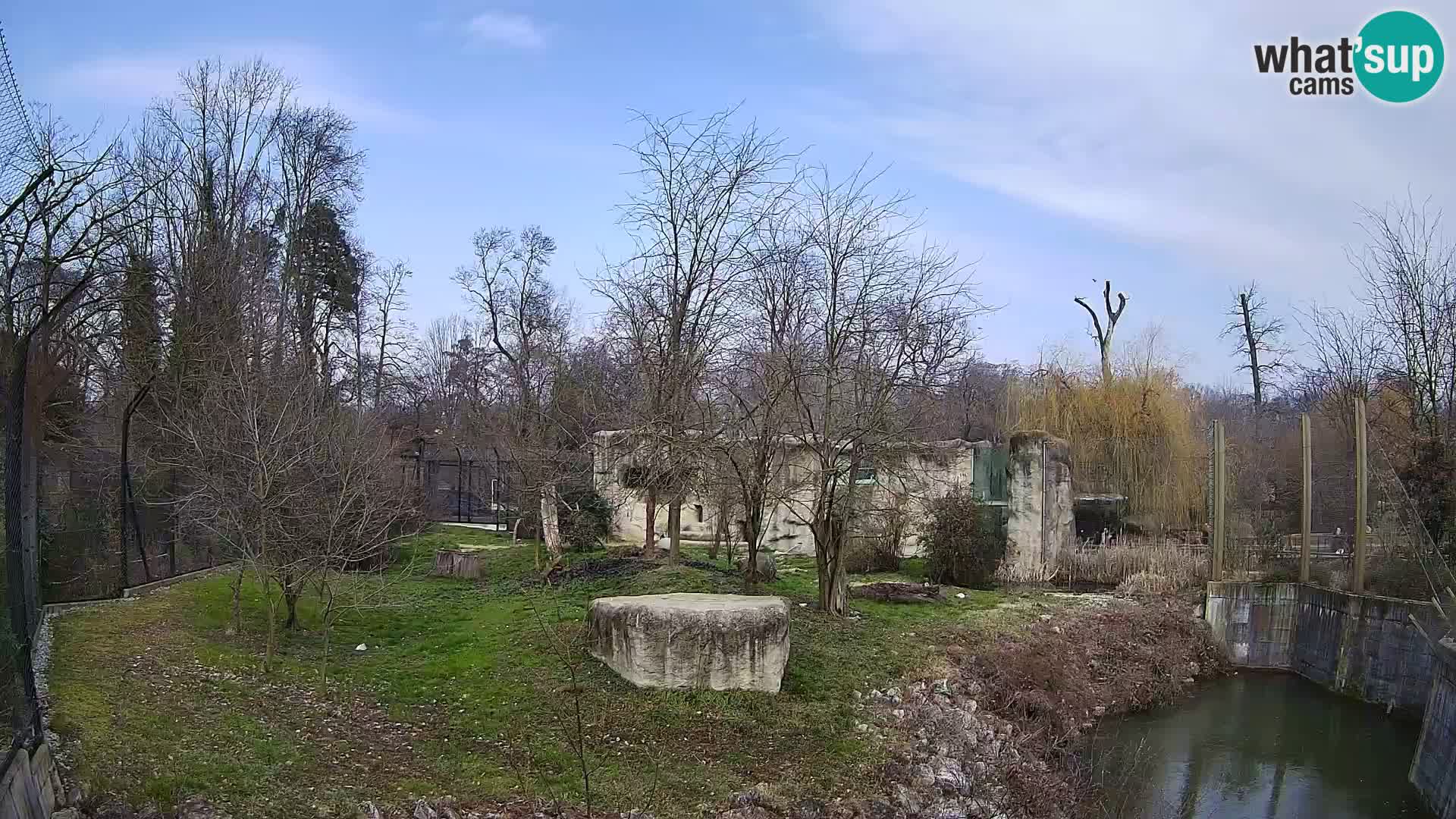 Zoo Zagreb – Lion