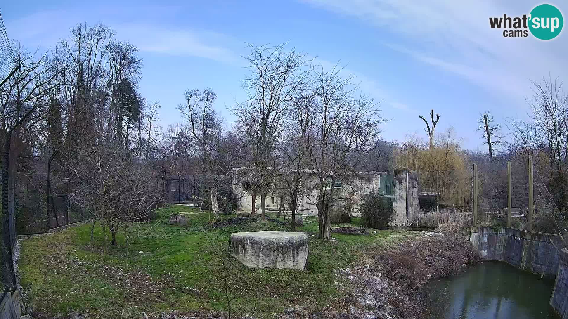 Zoo Zagreb – Löwen