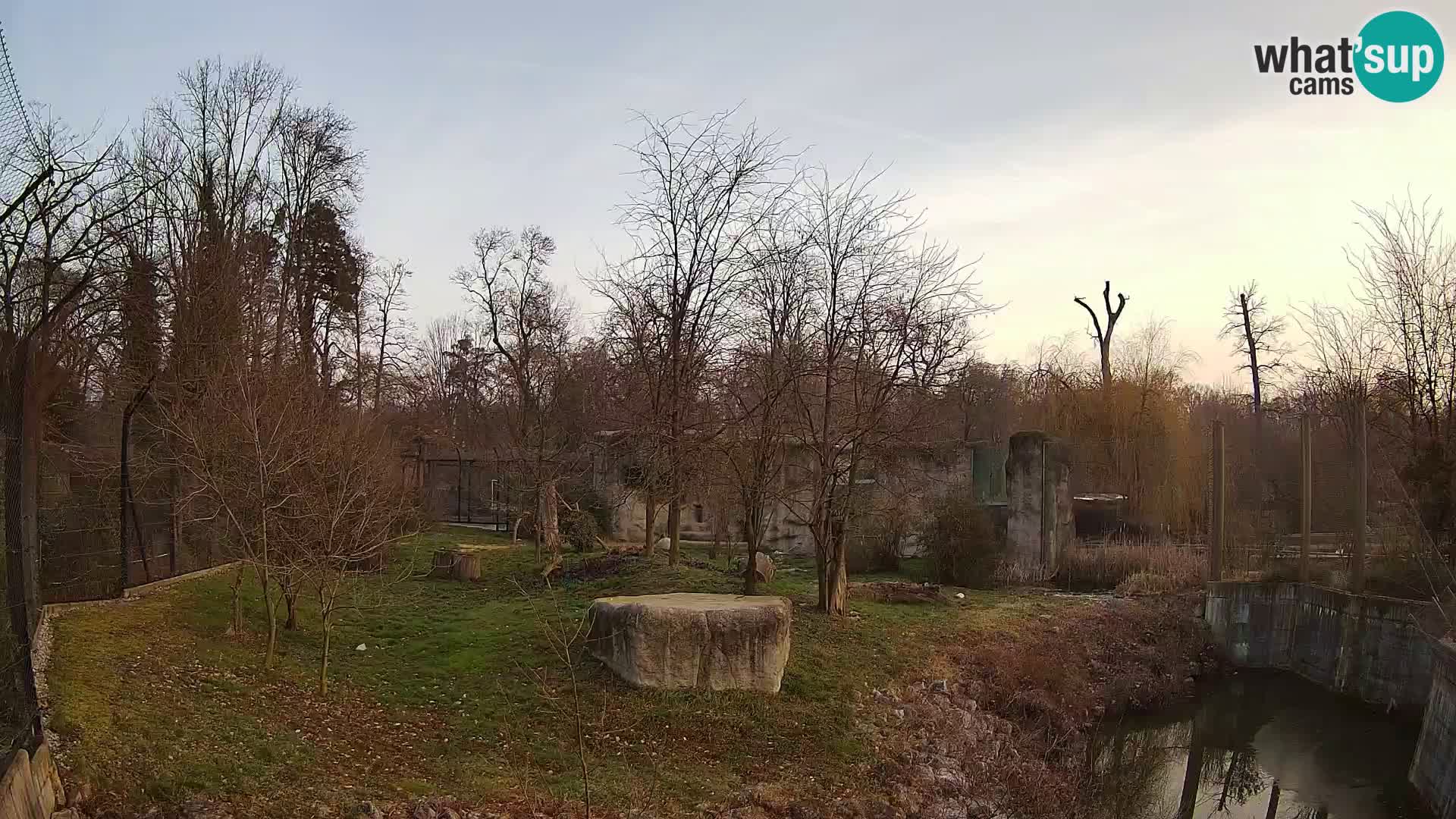 Zoo Zagreb – Lion