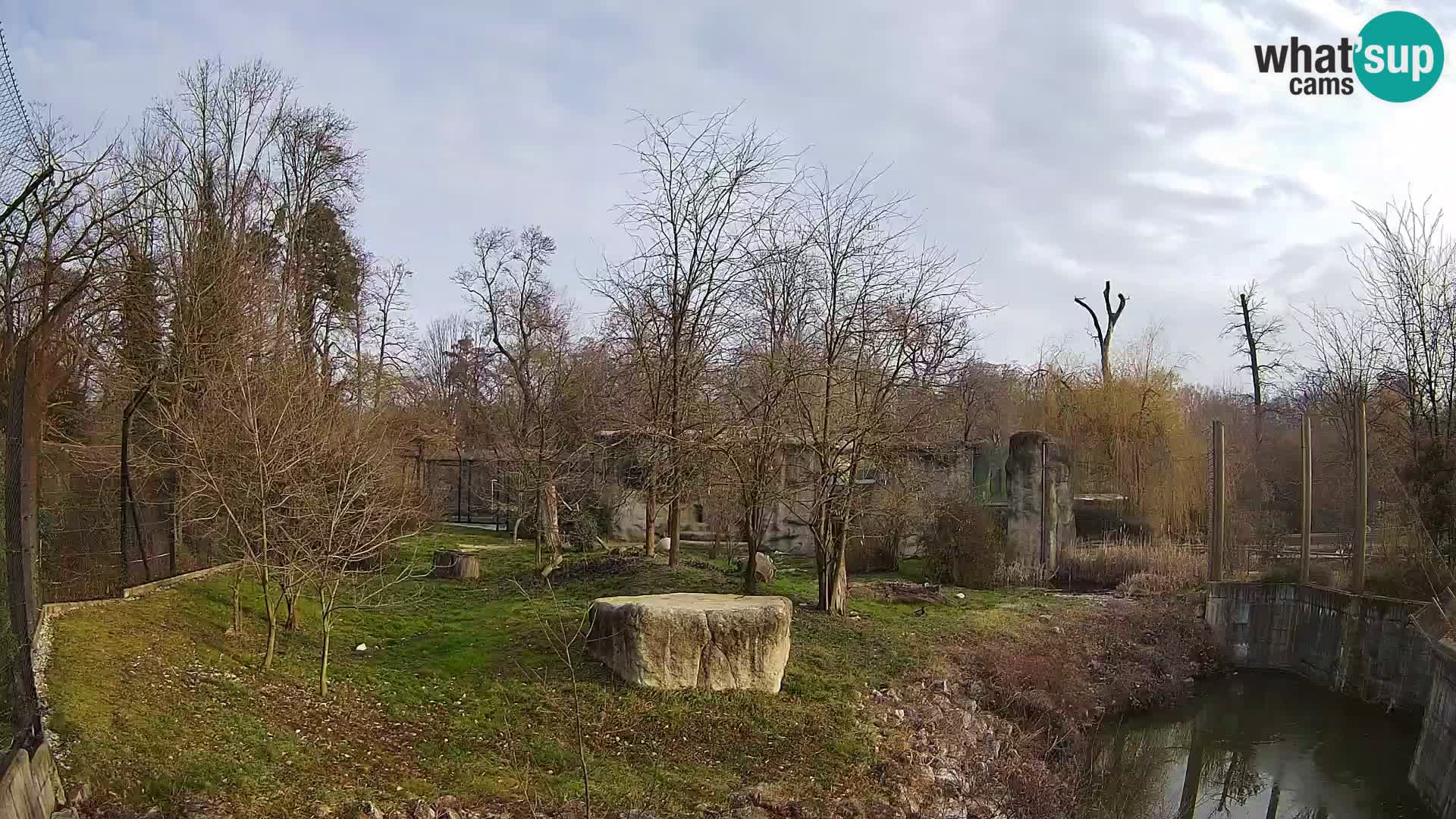 Zoo Zagreb – Leoni