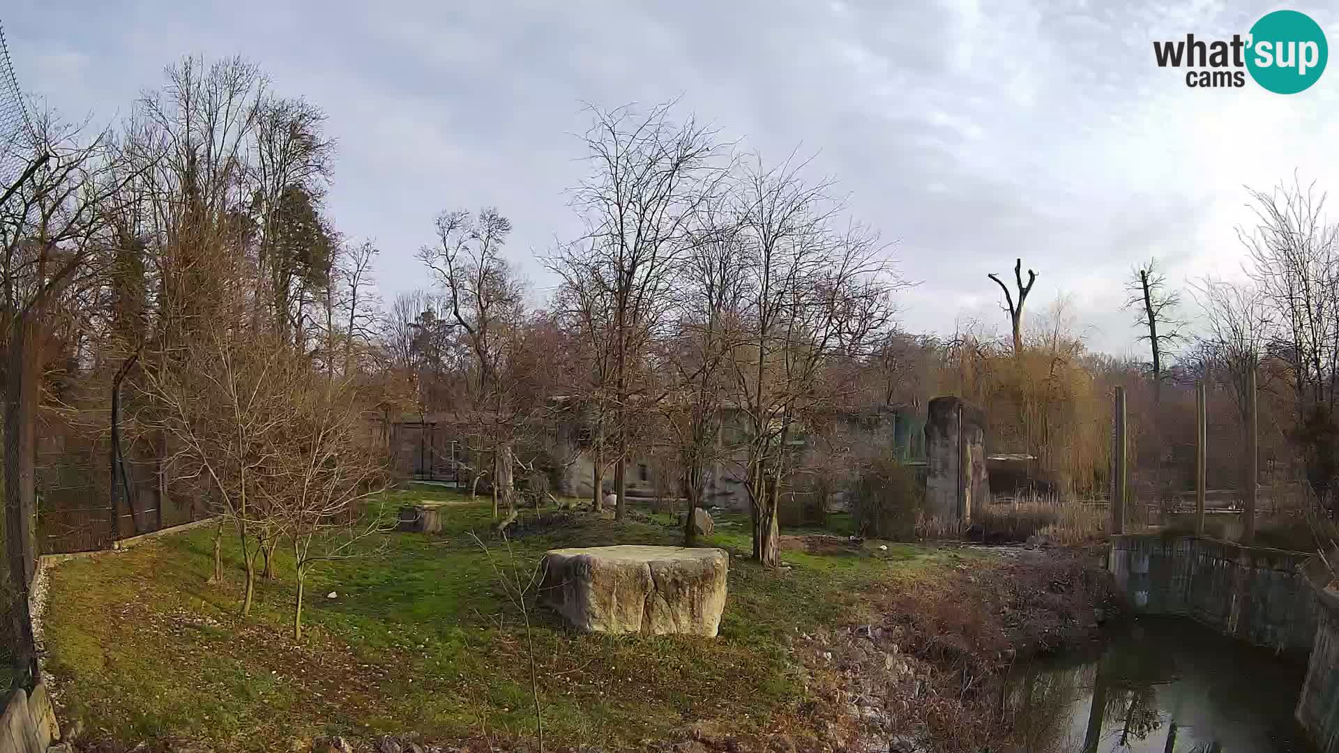 Zoo Zagreb – Leoni