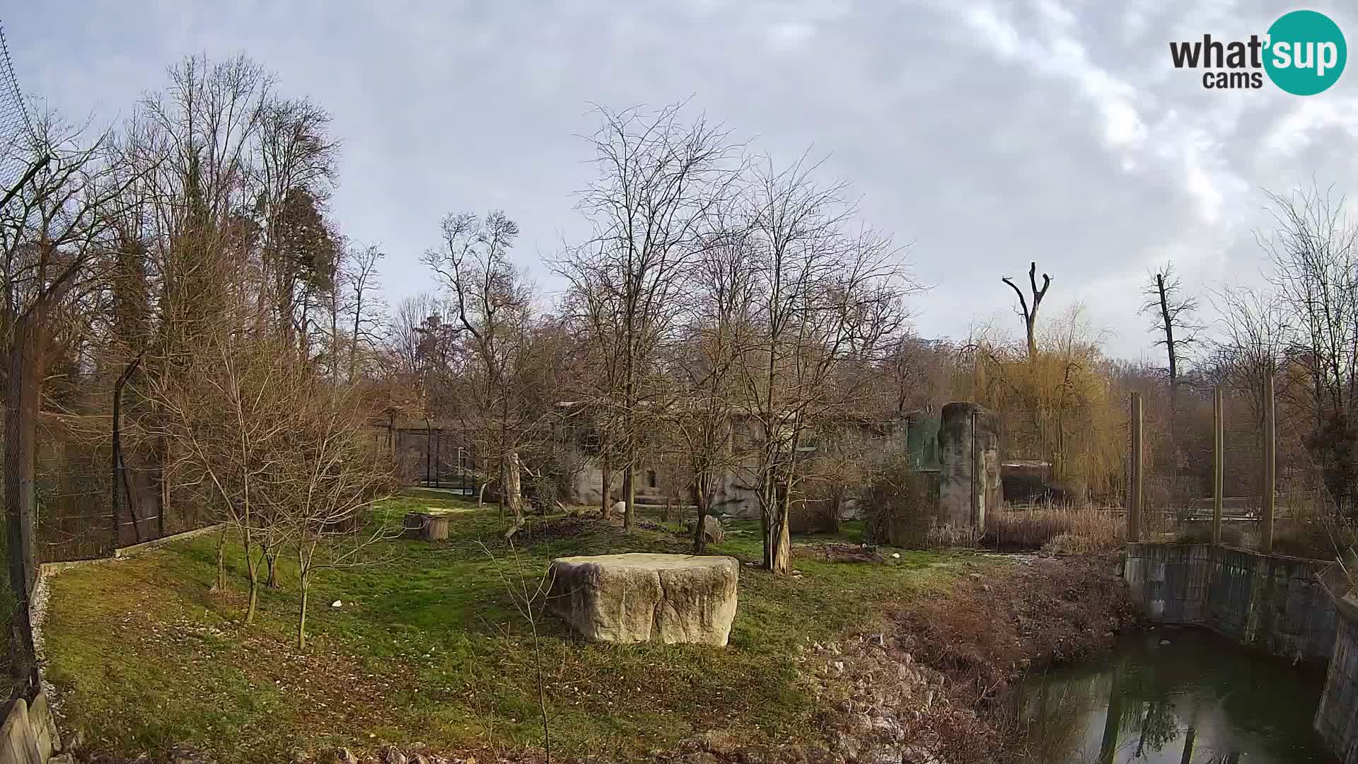 Zoo Zagreb – Leoni