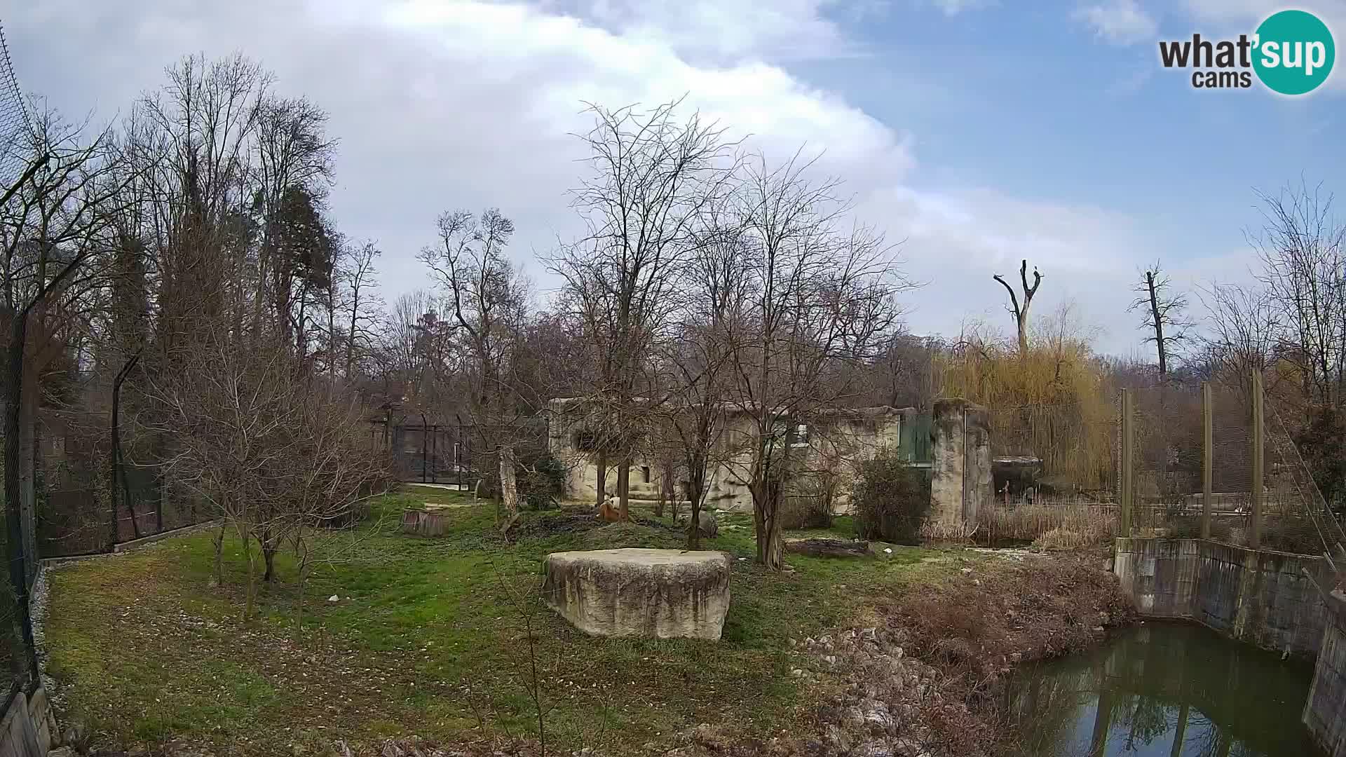 Zoo Zagreb – Löwen