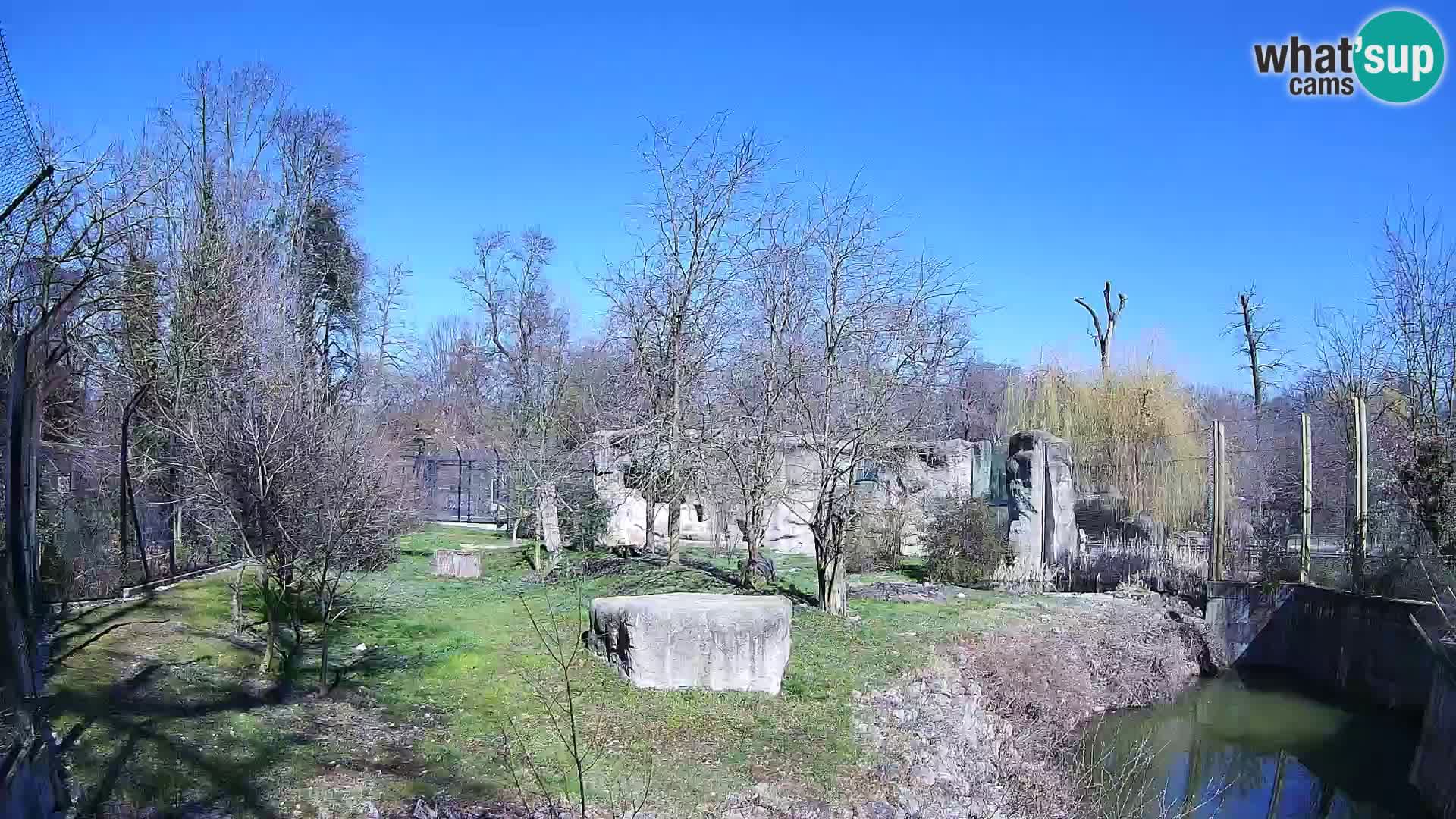 Zoo Zagreb – Löwen