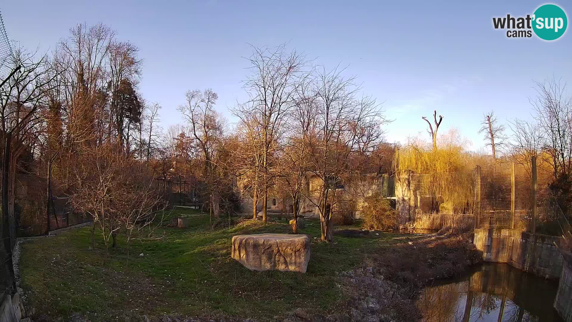 Zoo Zagreb – Lion