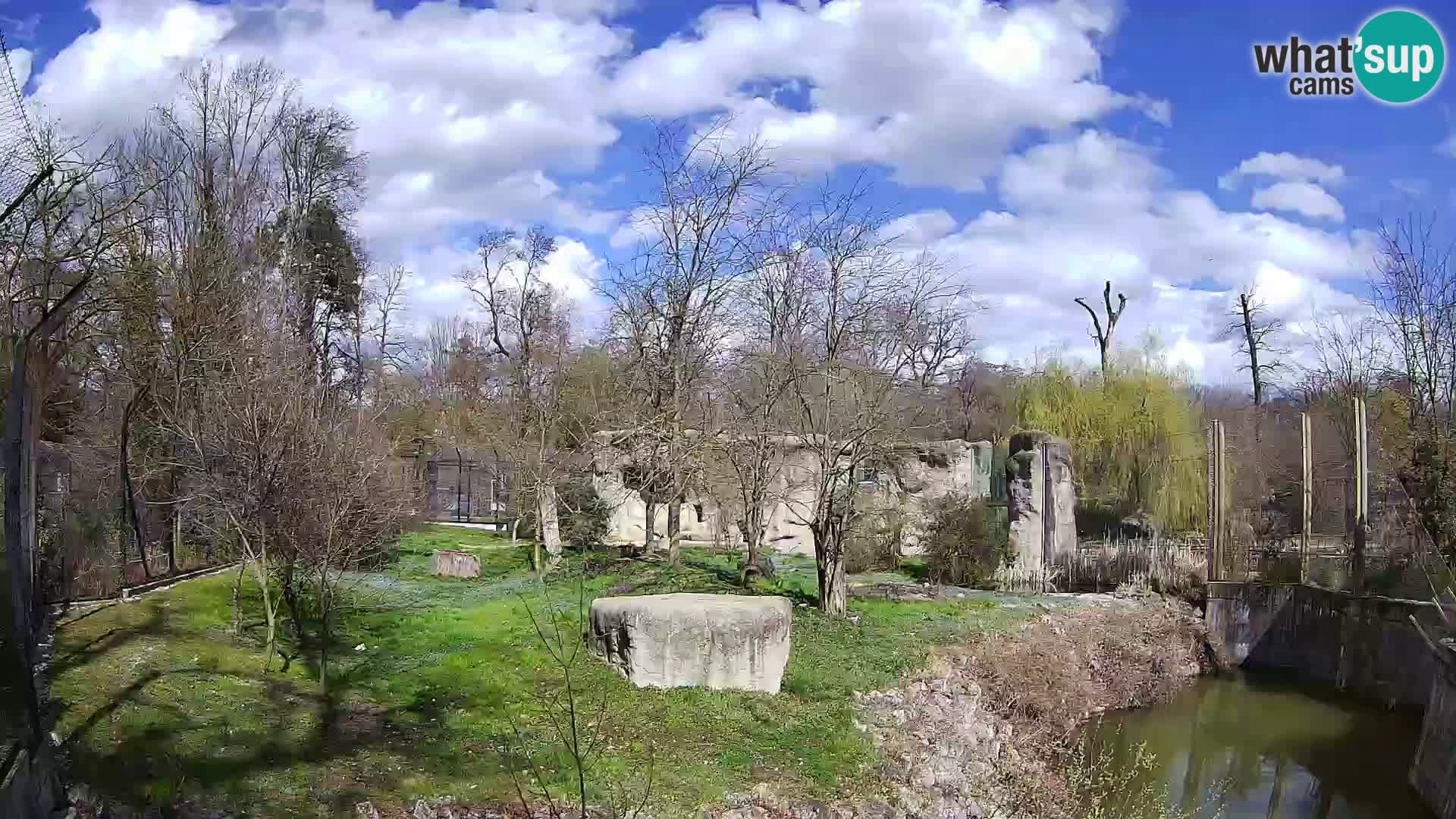 Zoo Zagreb – Löwen