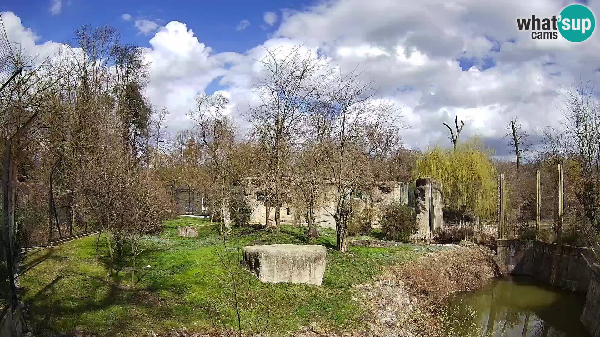 Zoo Zagreb – Löwen