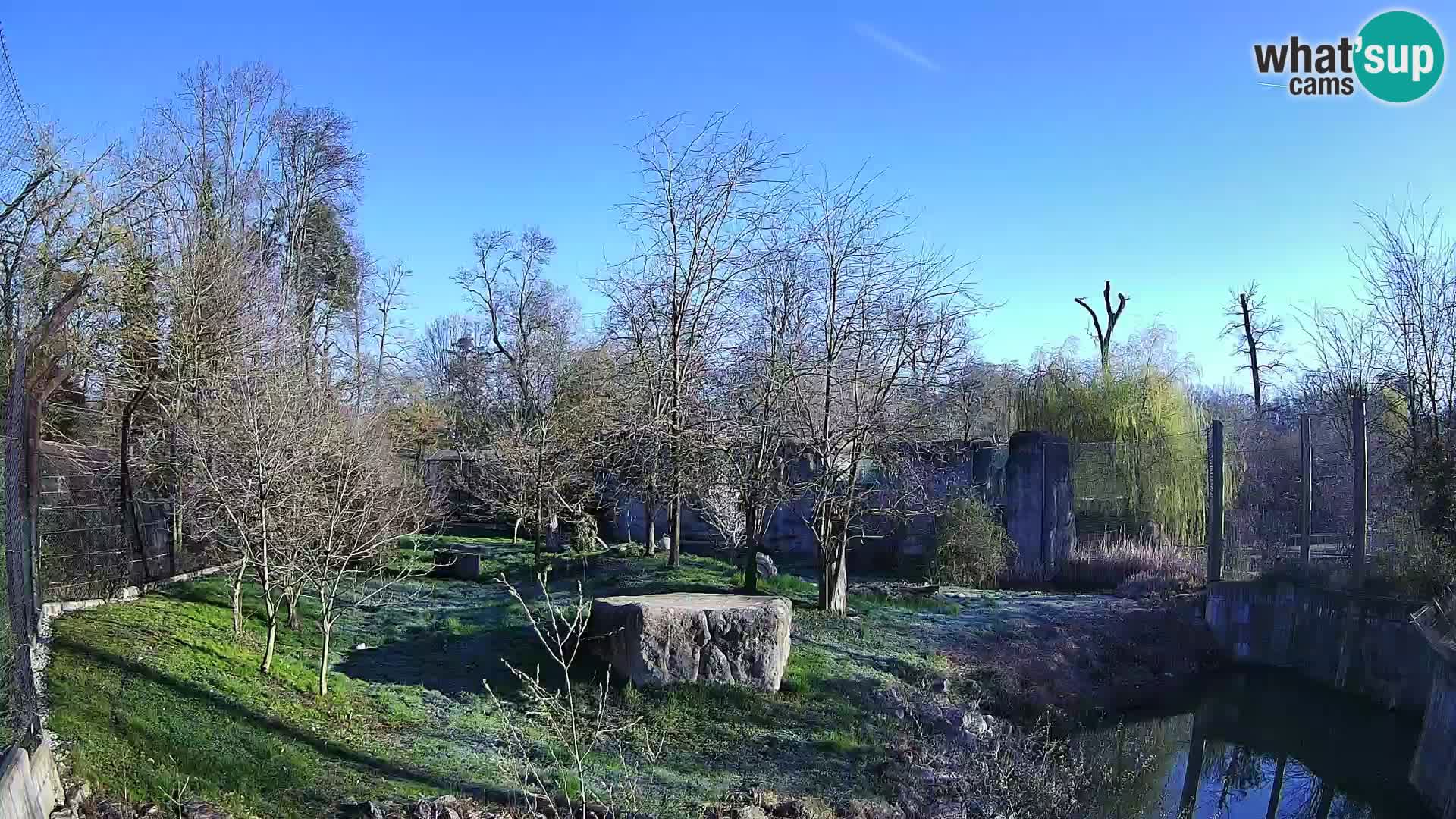 Zoo Zagreb – Löwen